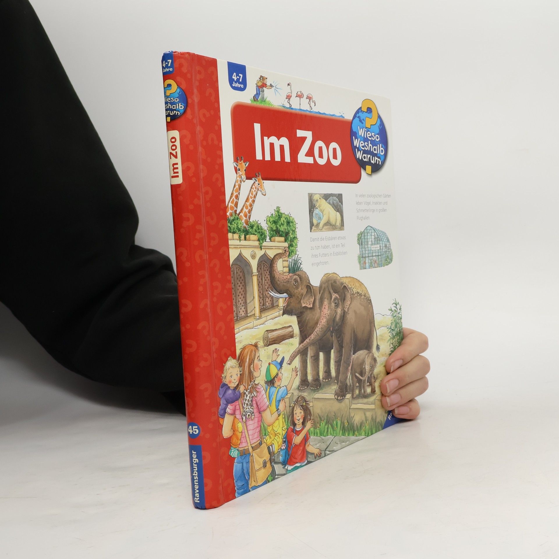 Im Zoo