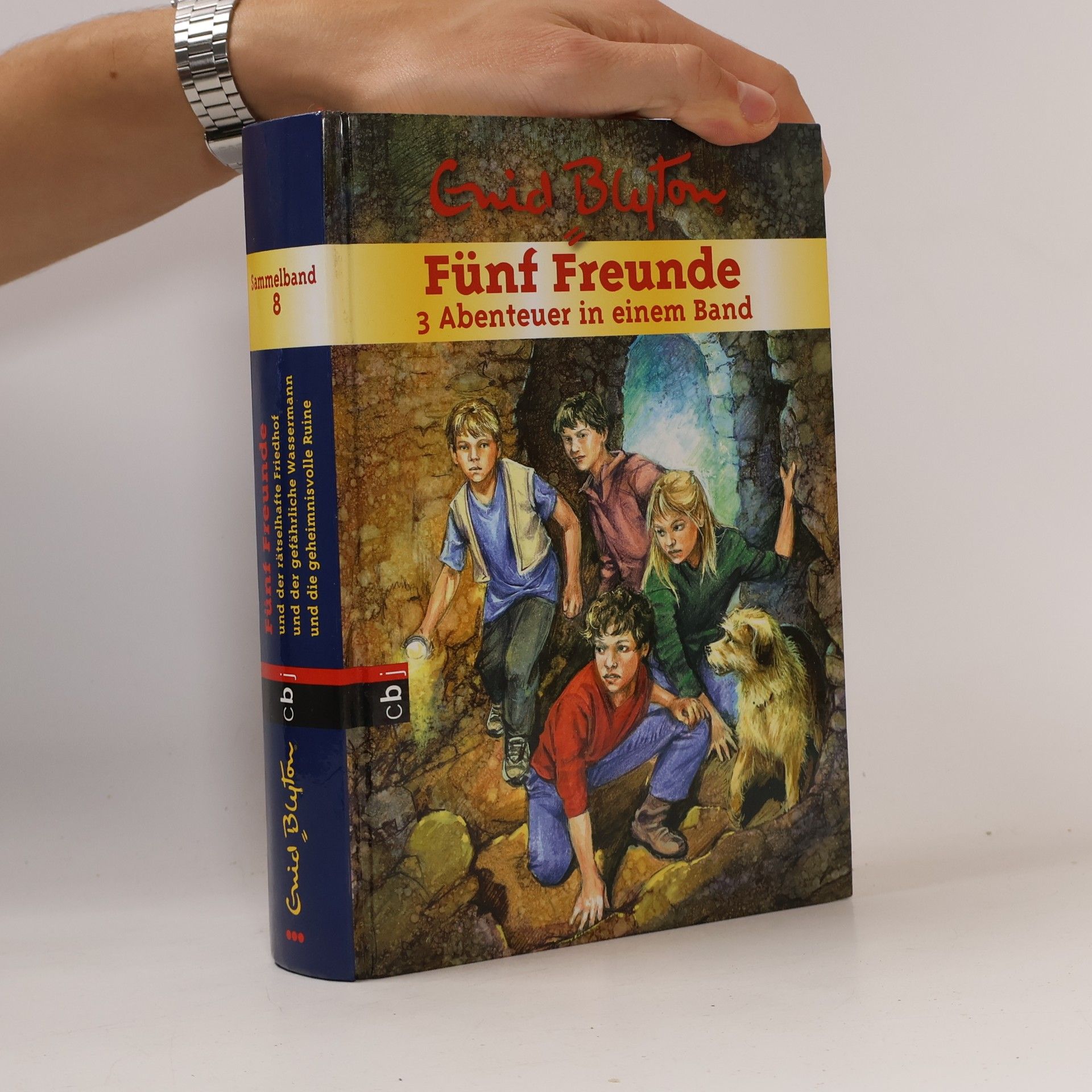 Enid Blyton Fünf Freunde: 3 Abenteuer in einem Band