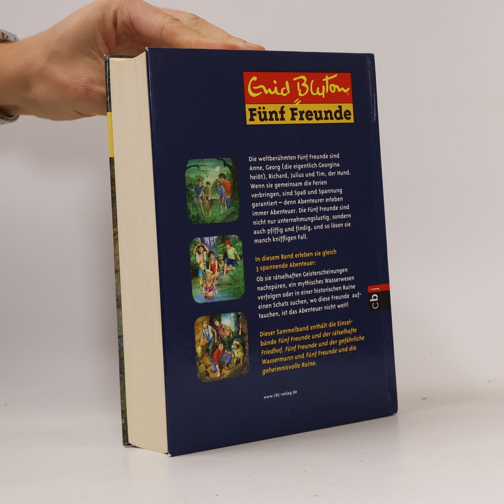 Enid Blyton Fünf Freunde: 3 Abenteuer in einem Band