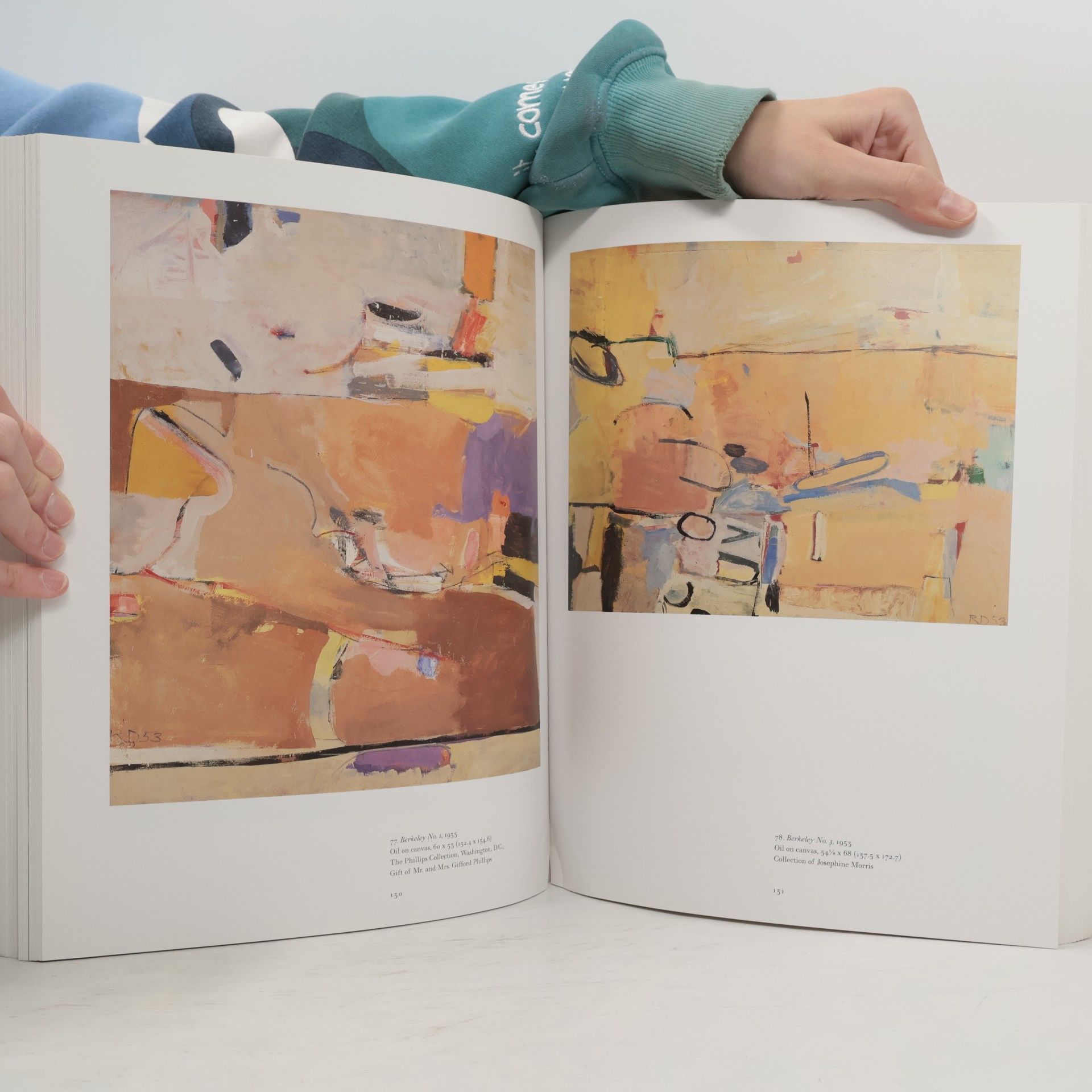 Jane Livingston The Art of Richard Diebenkorn