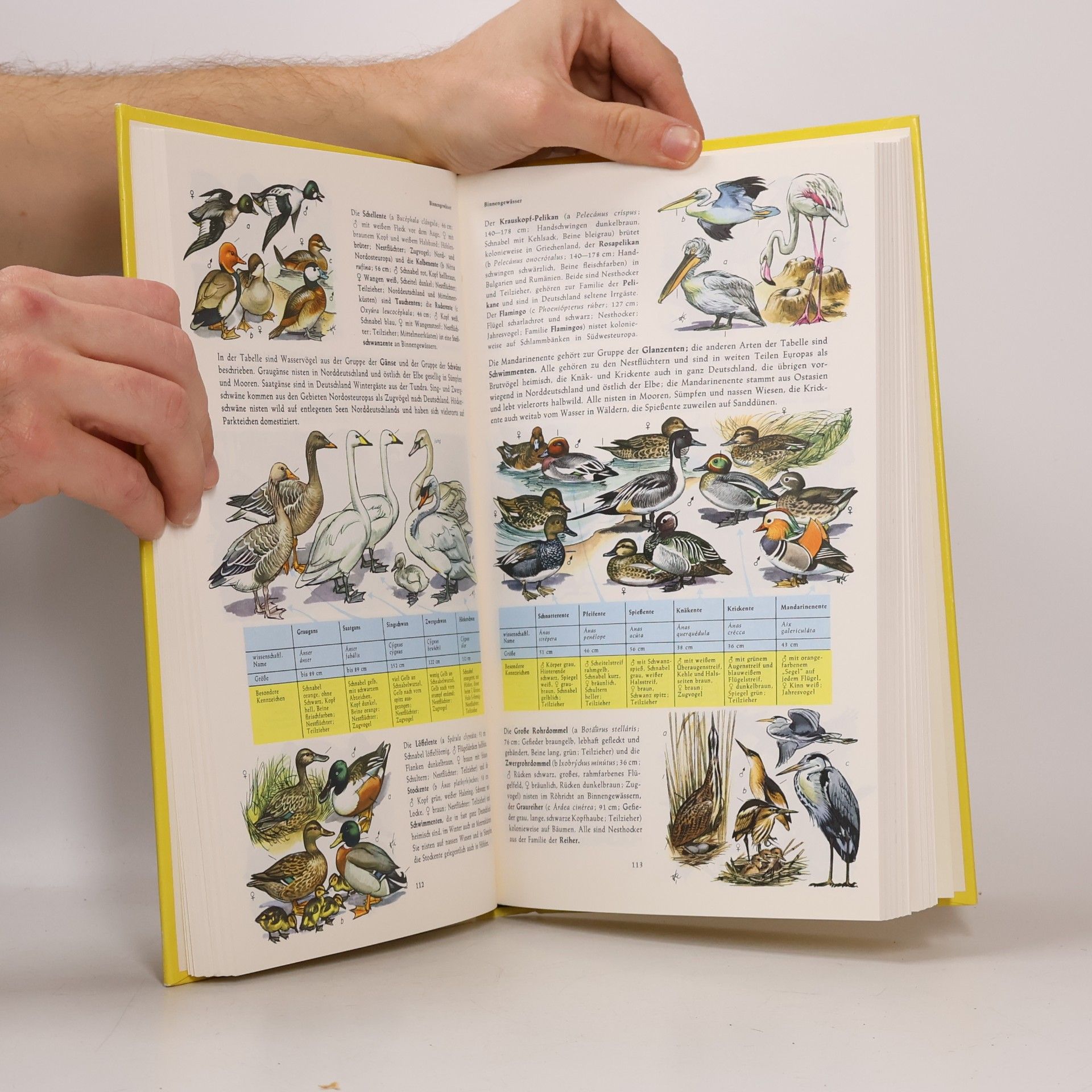 Wilhelm Eigener Handbuch der Natur
