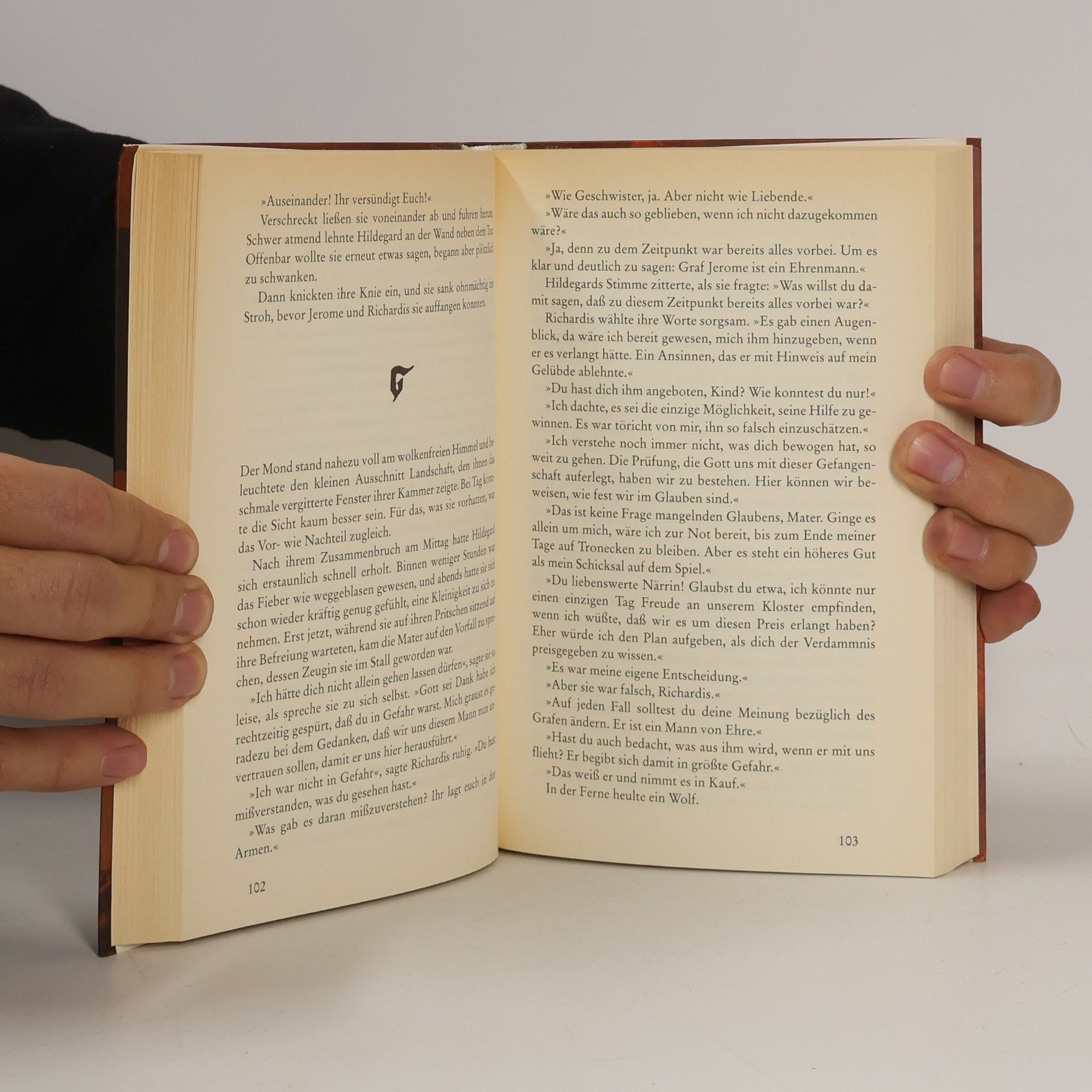 Edgar Noske Der Fall Hildegard von Bingen