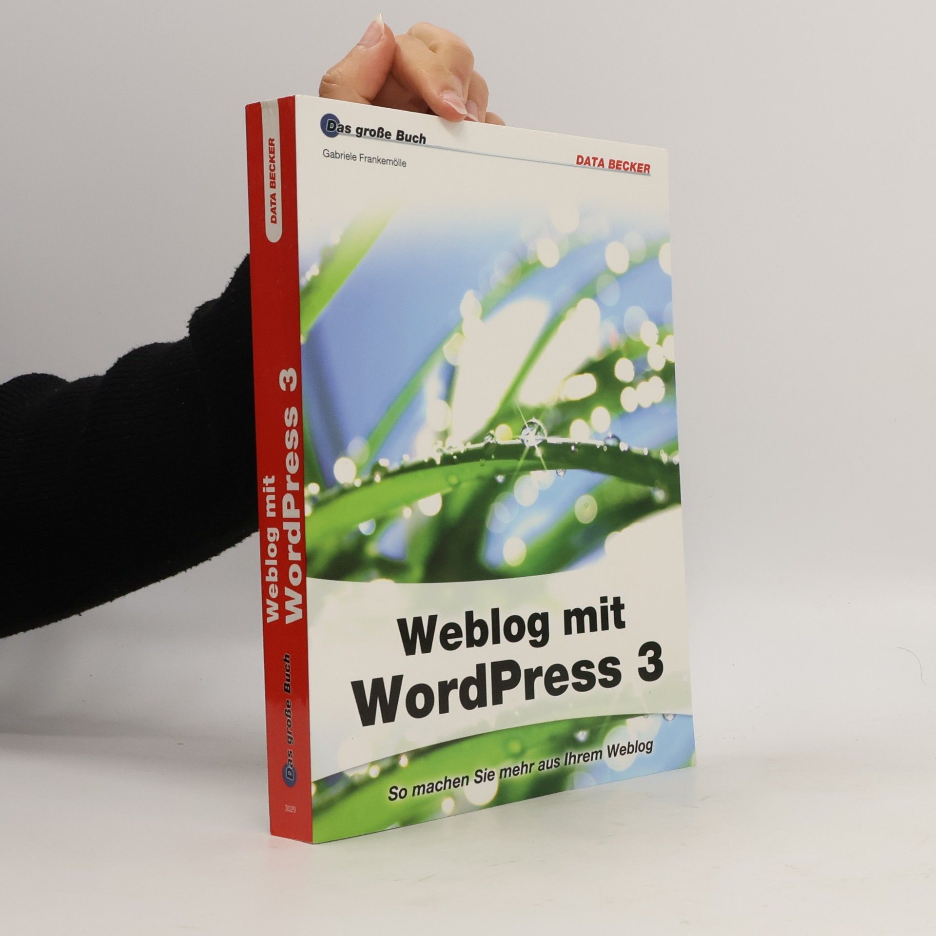 Weblog mit WordPress 3