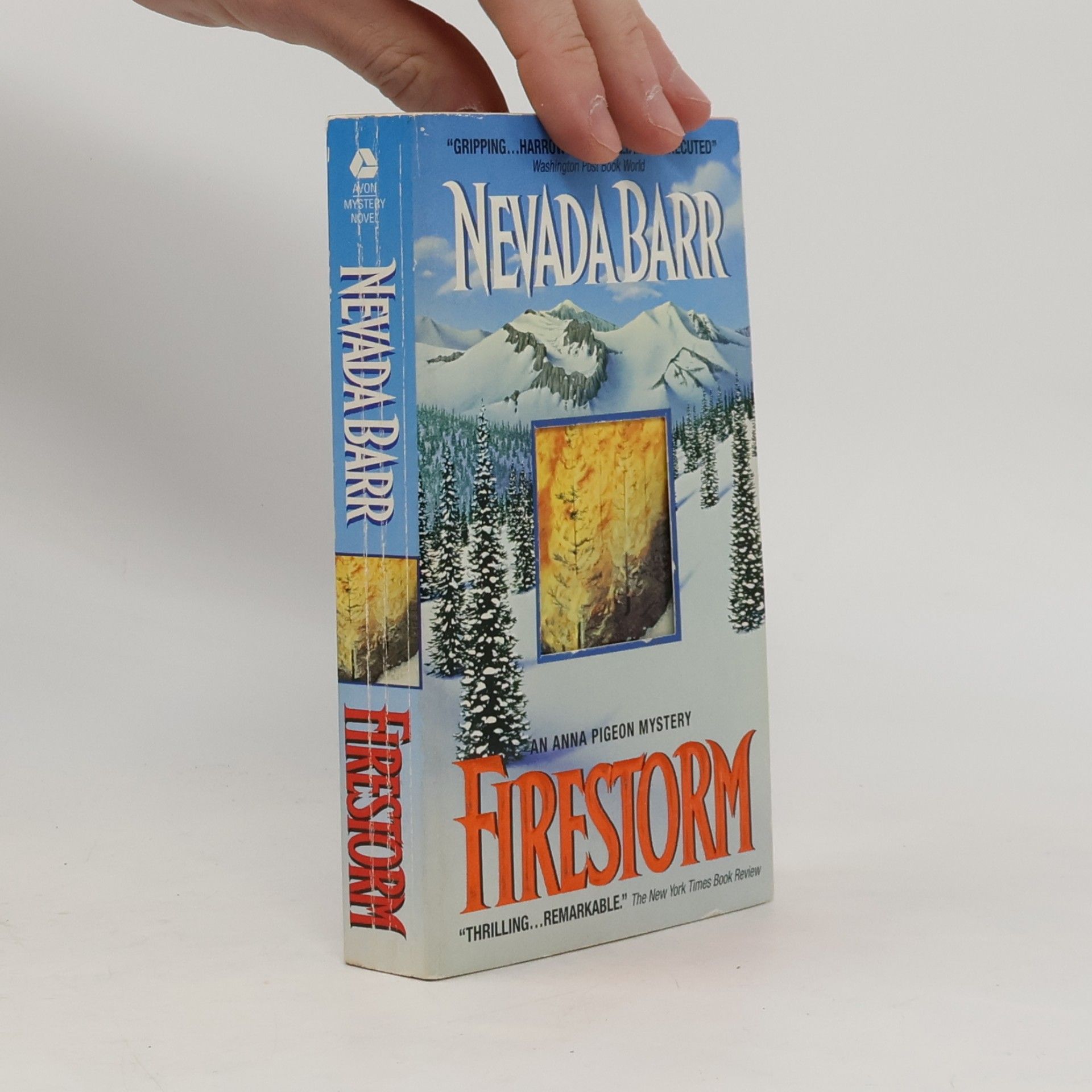 Anna Pigeon Mysteries: Firestorm