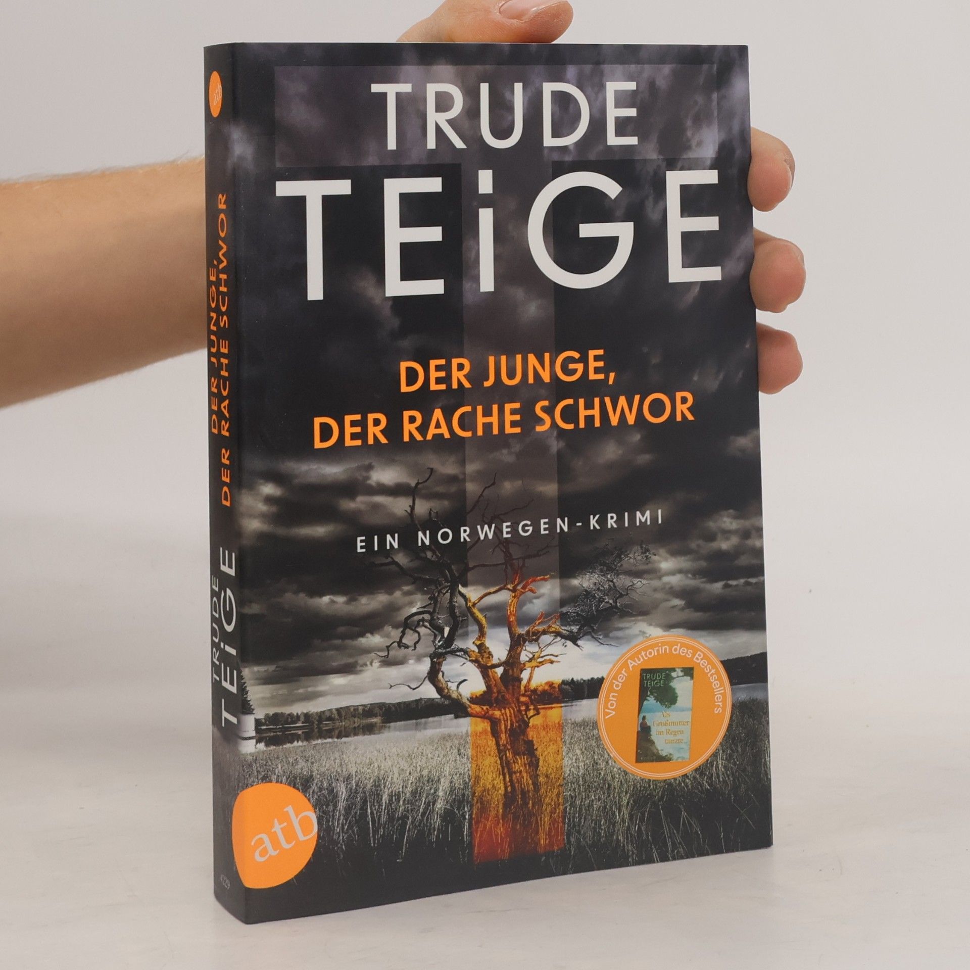 Der Junge, der Rache schwor