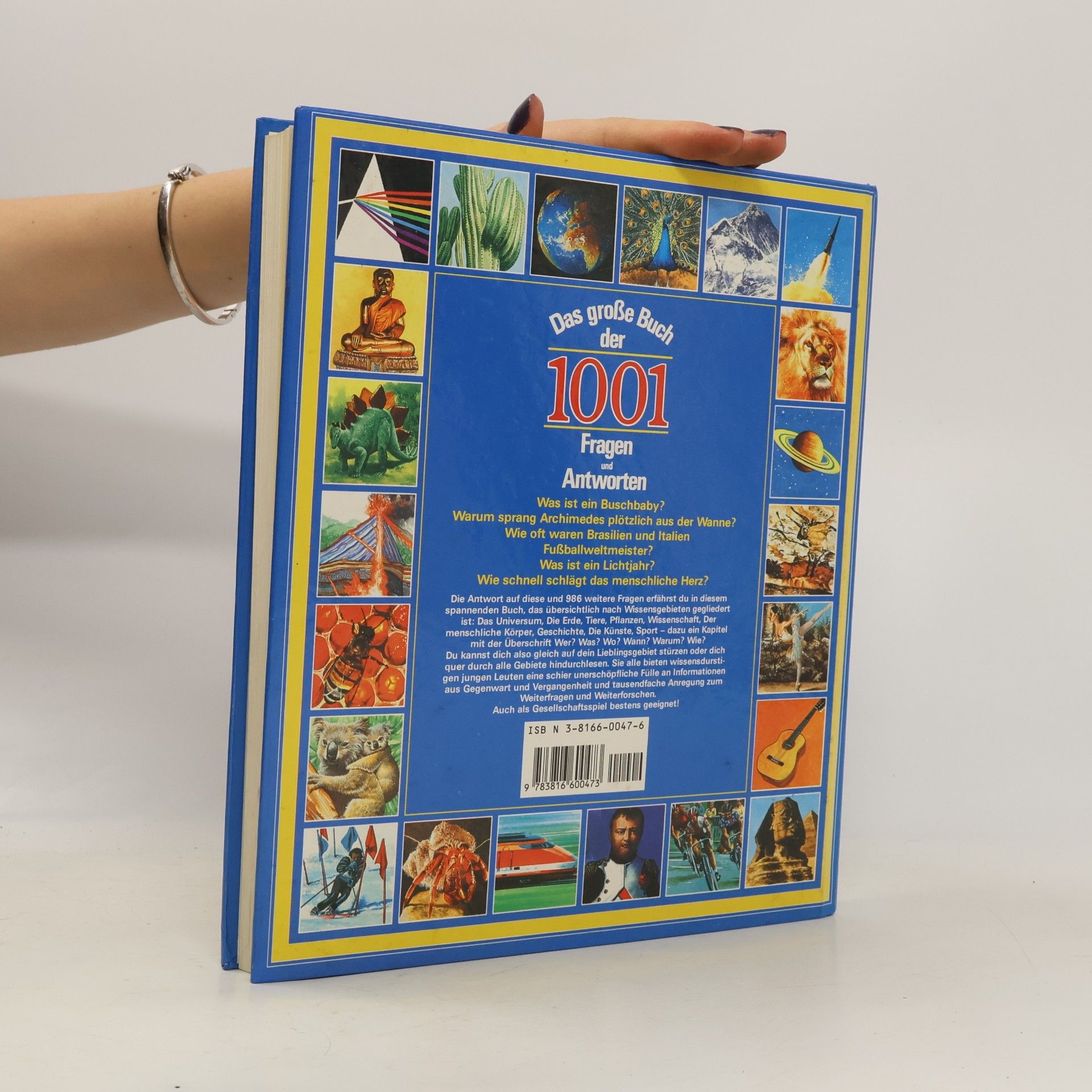 Ute Eichler Das große Buch der 1001 Fragen und Antworten