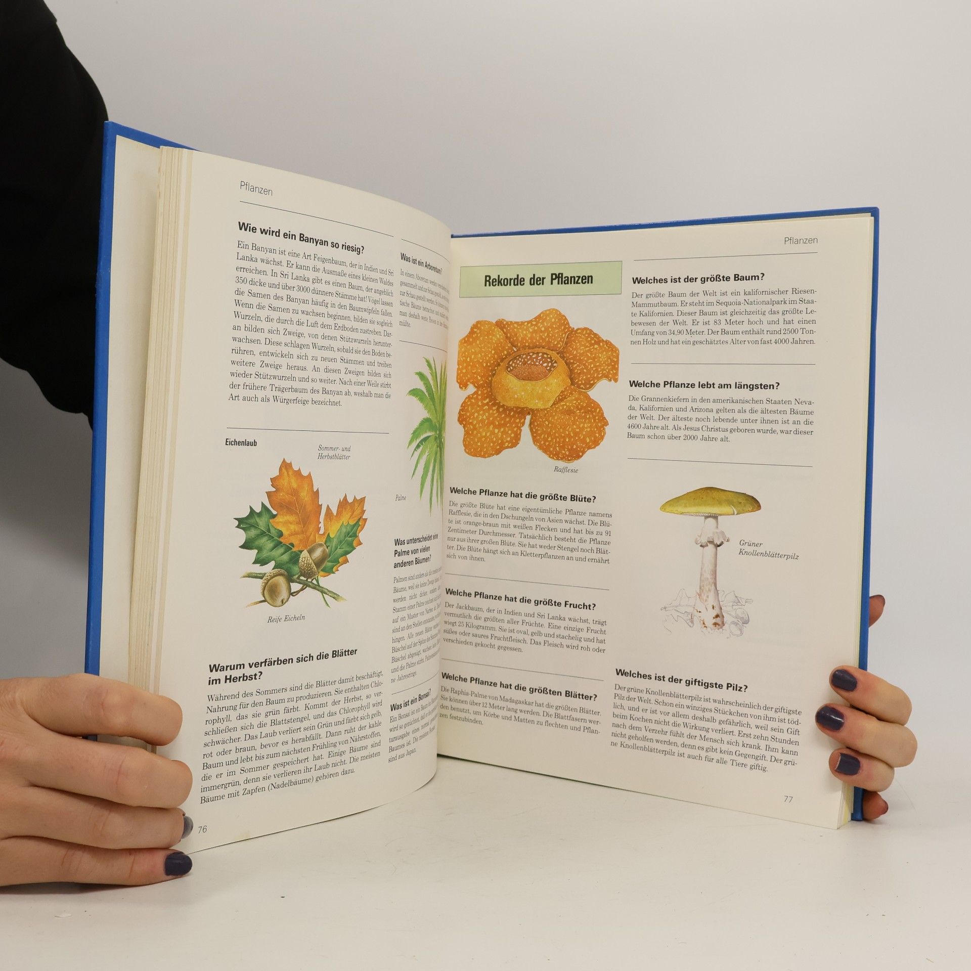 Ute Eichler Das große Buch der 1001 Fragen und Antworten