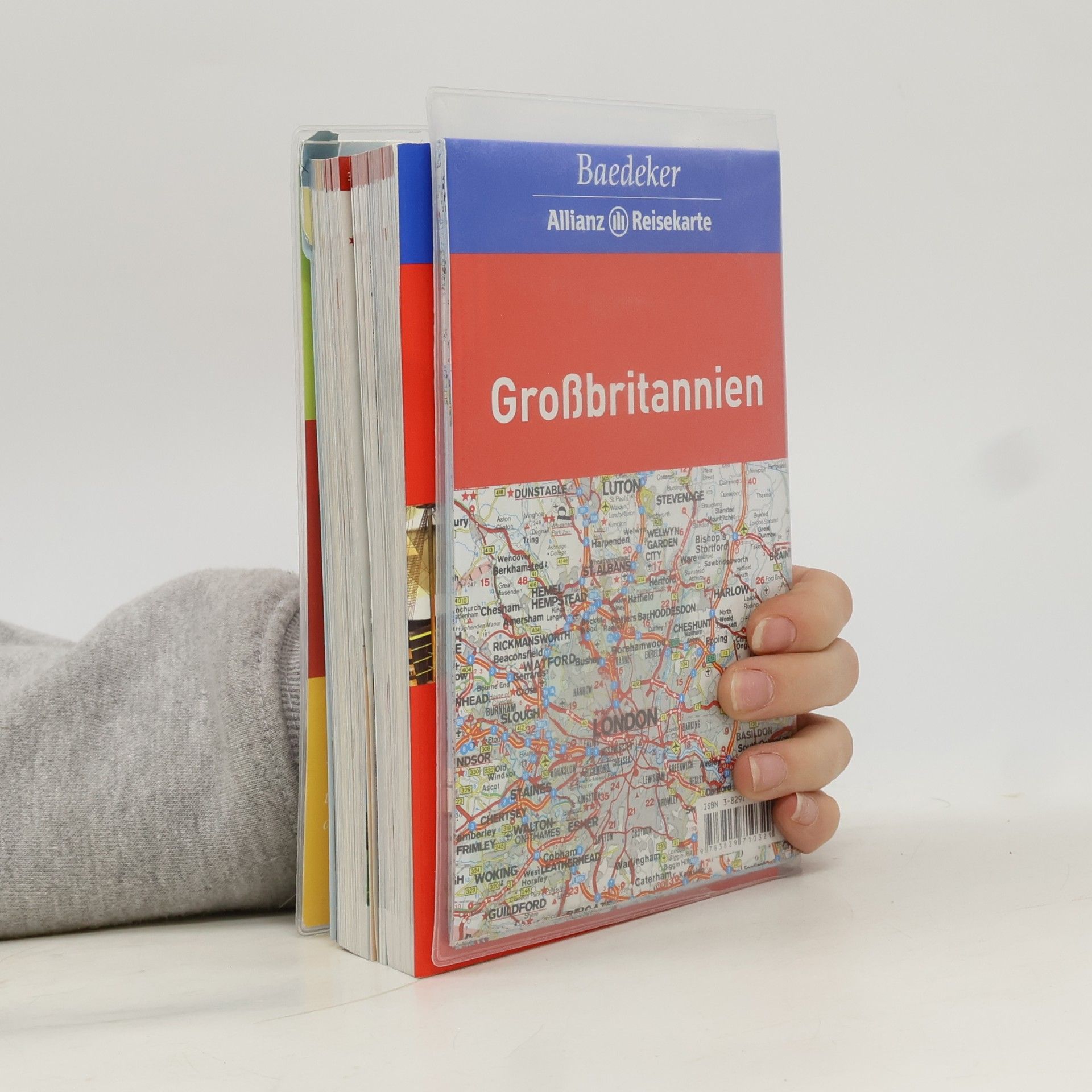Stefanie Bisping Großbritannien und Nordirland