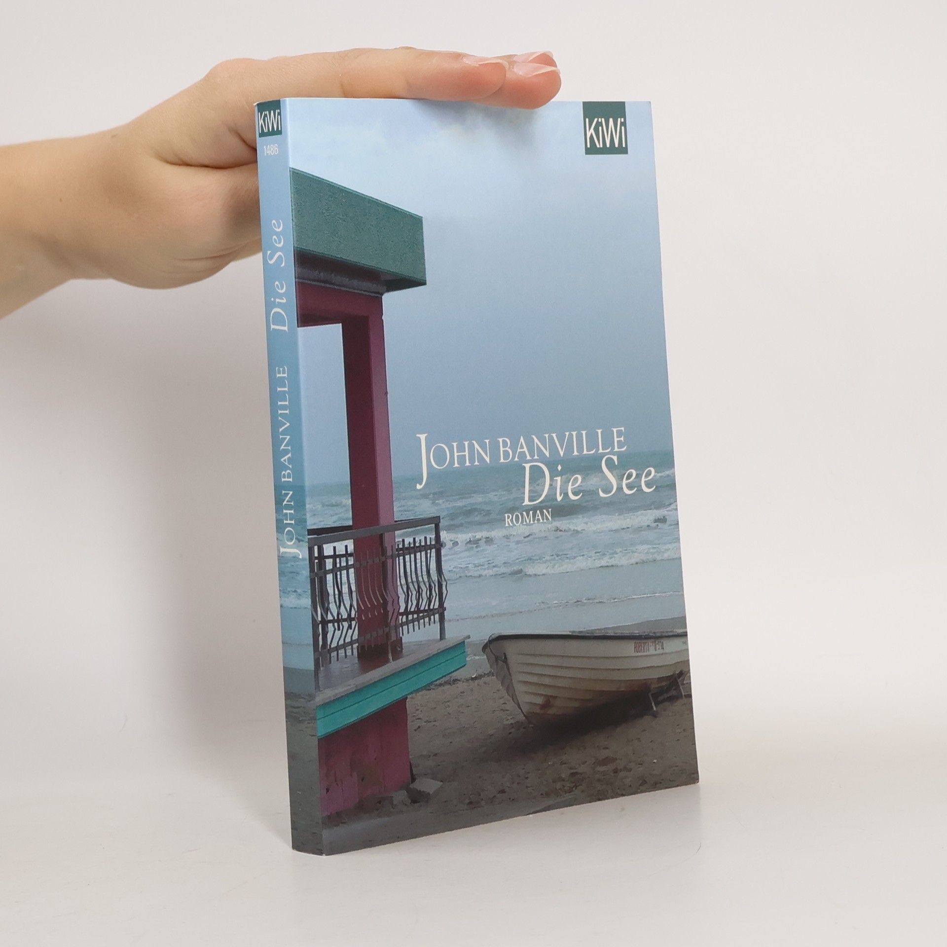 John Banville Die See