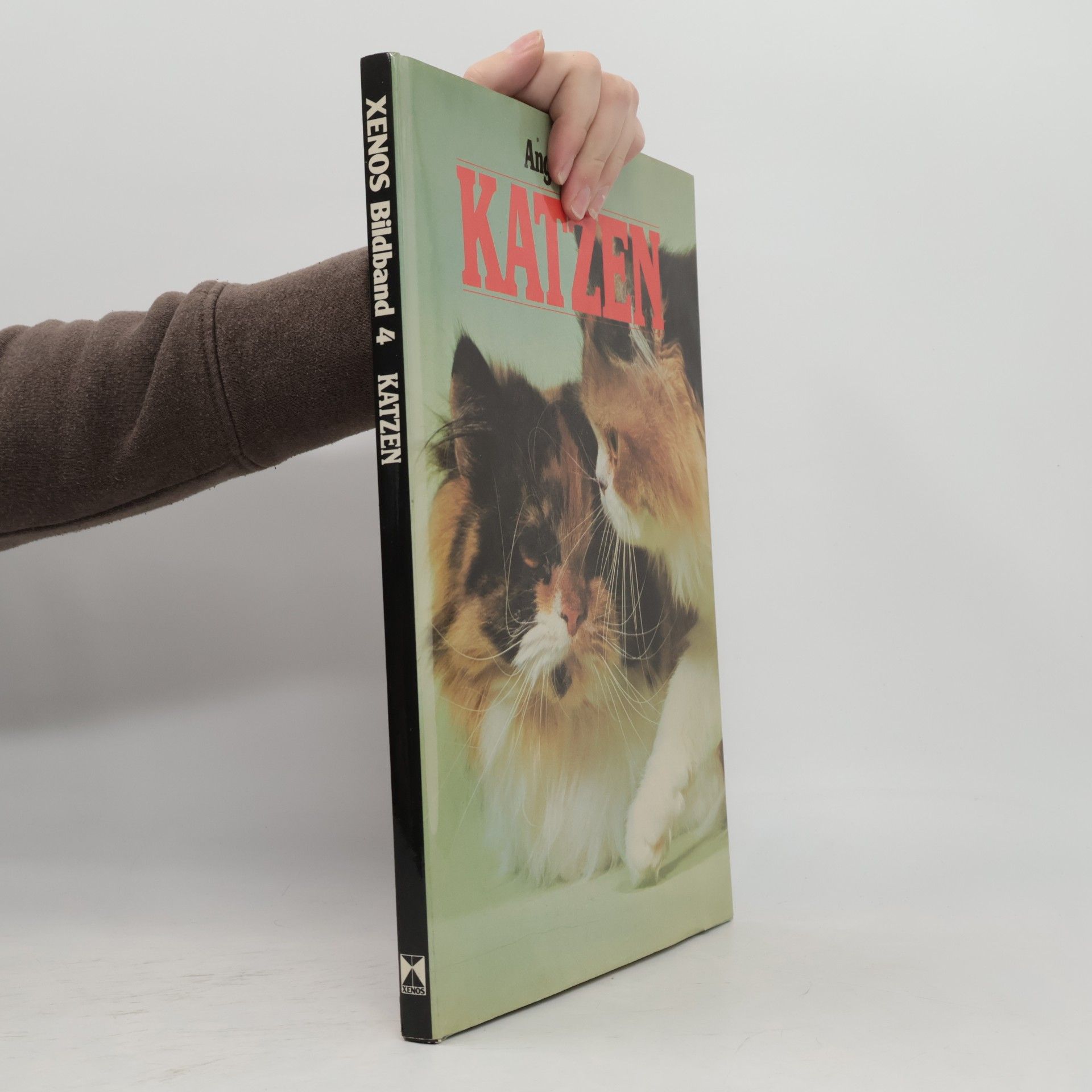 Katzen