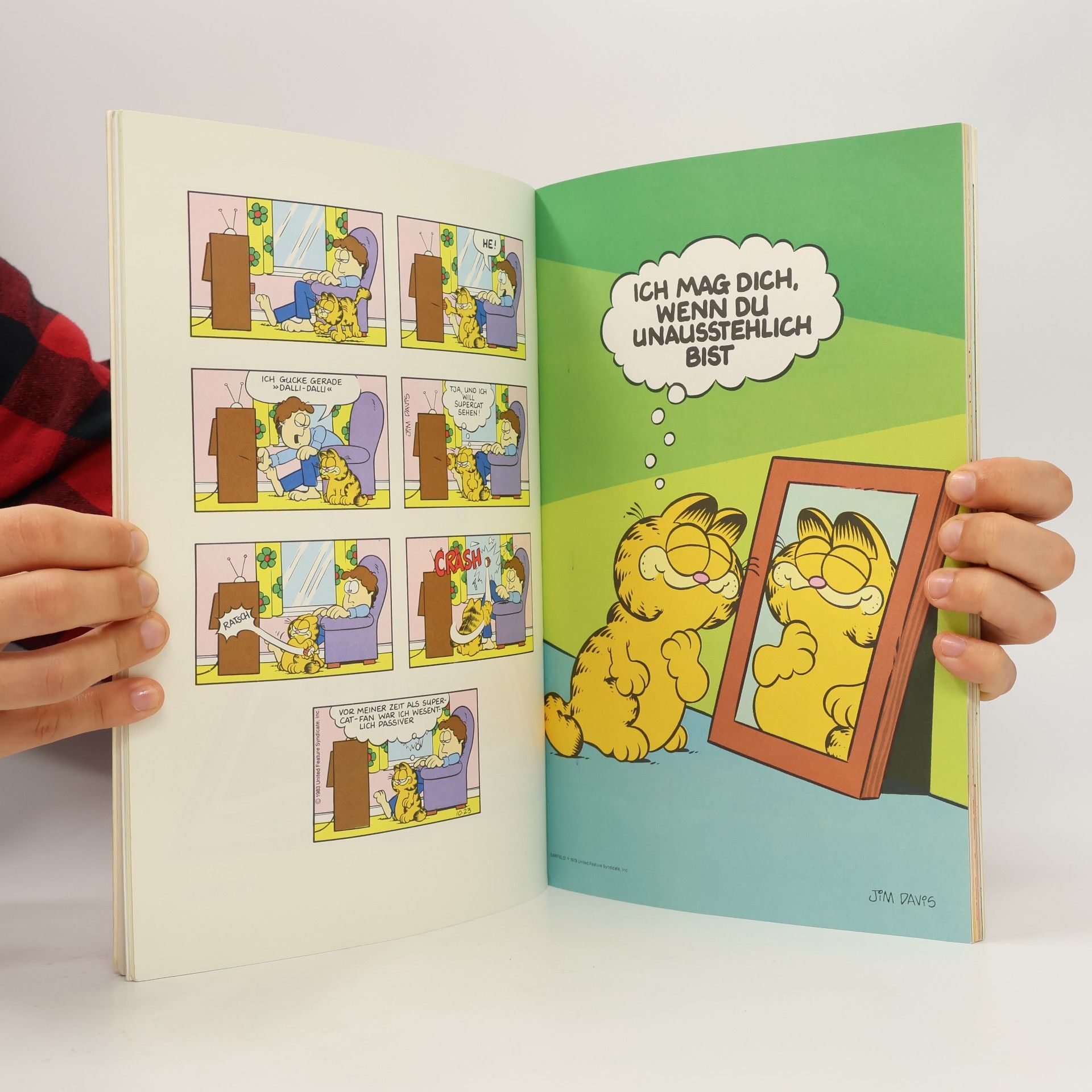 Jim Davis Die Garfield-Galerie 2