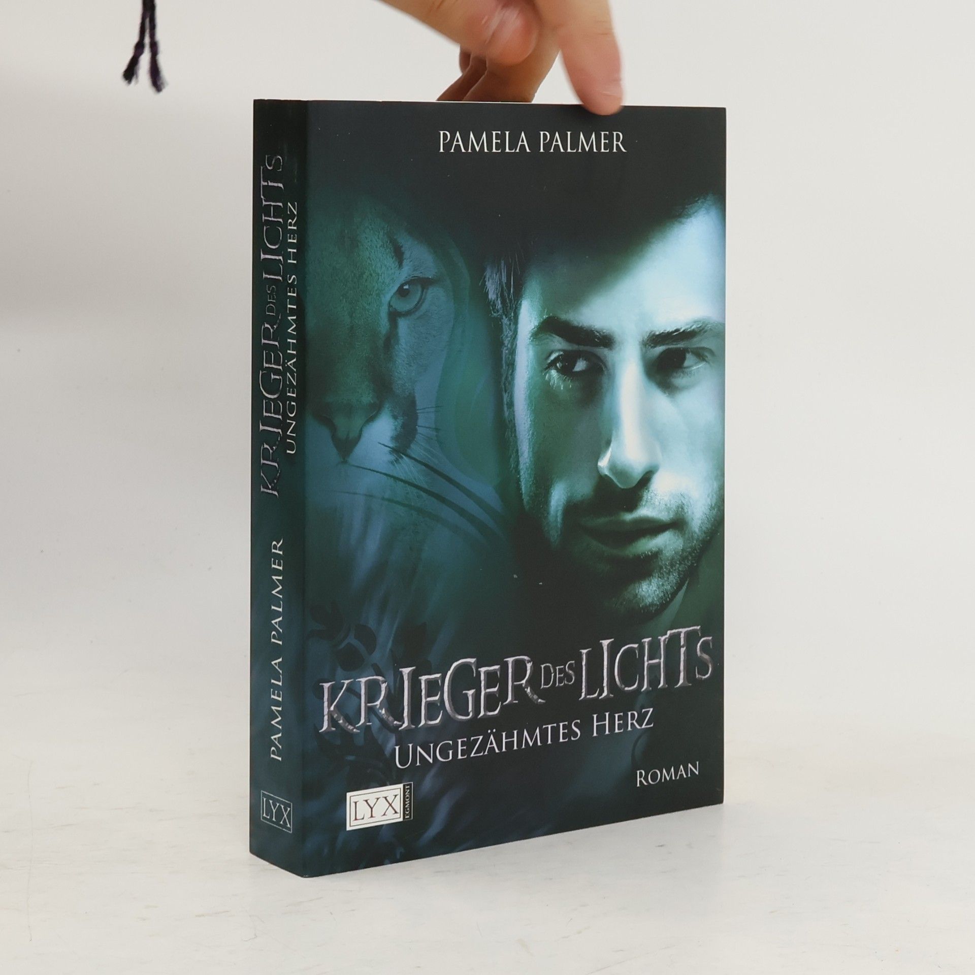 Krieger des Lichts 5