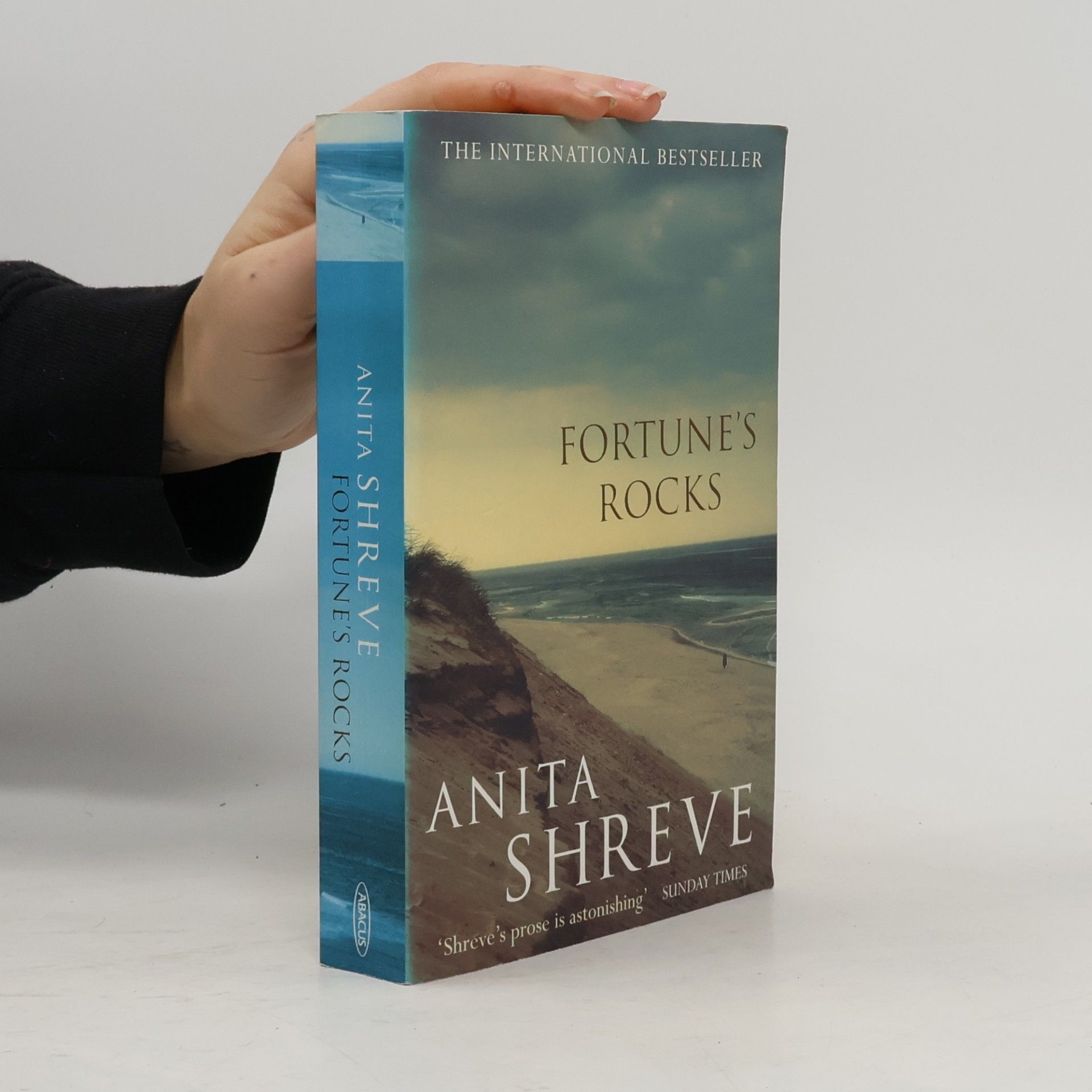Fortune's Rocks