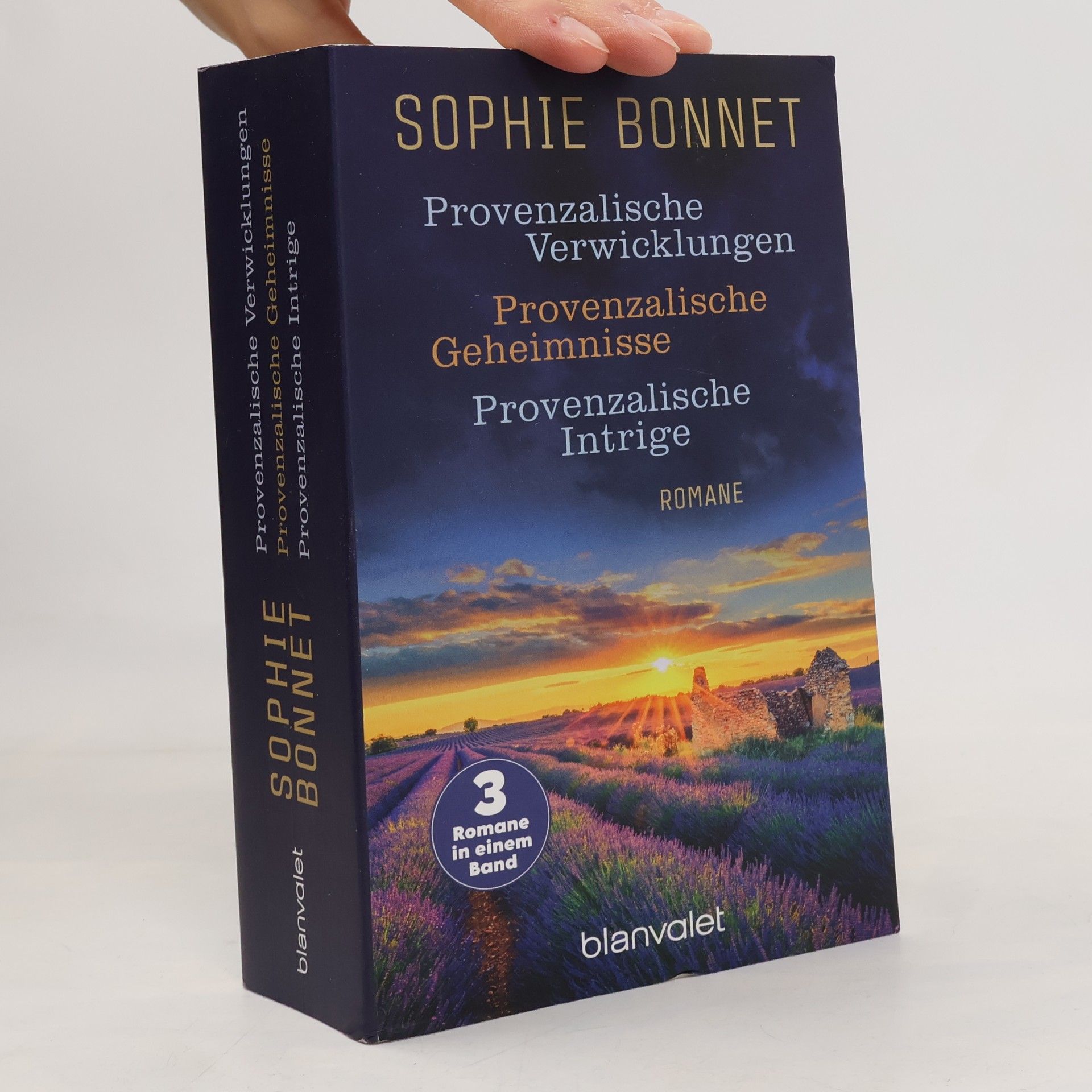 Provenzalische Verwicklungen, Geheimnisse und Intrige