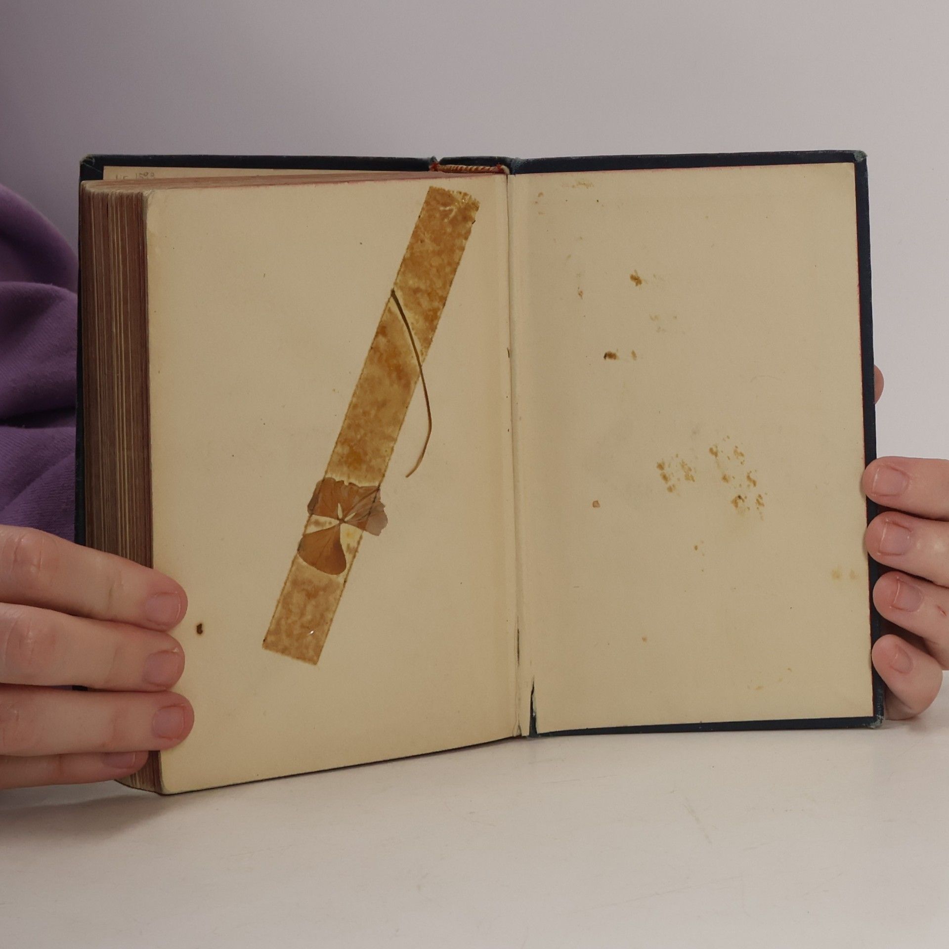 Edmunt Klatt Langenscheidt's English-German and German-English Dictionary