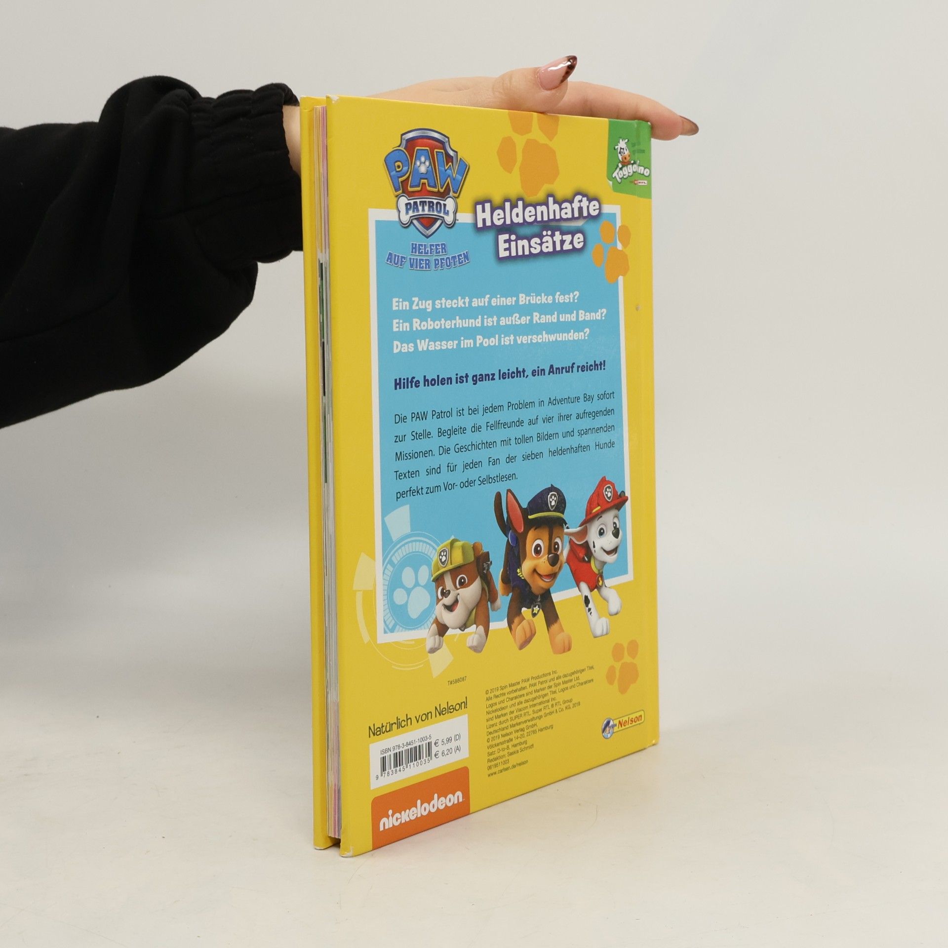 PAW Patrol, Helfer auf vier Pfoten - heldenhafte Einsätze