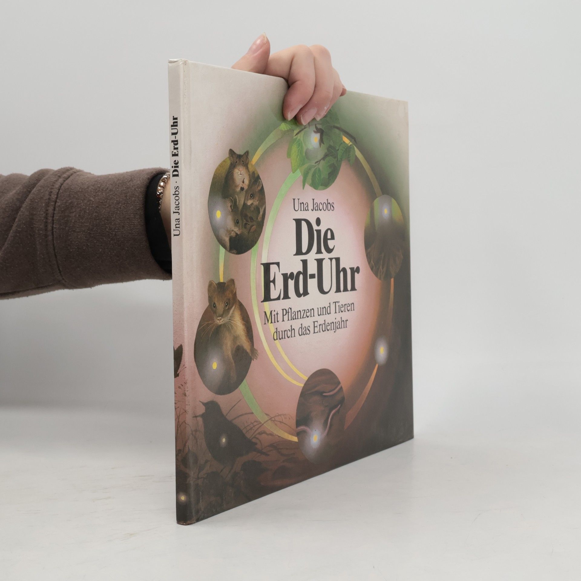 Die Erd-Uhr