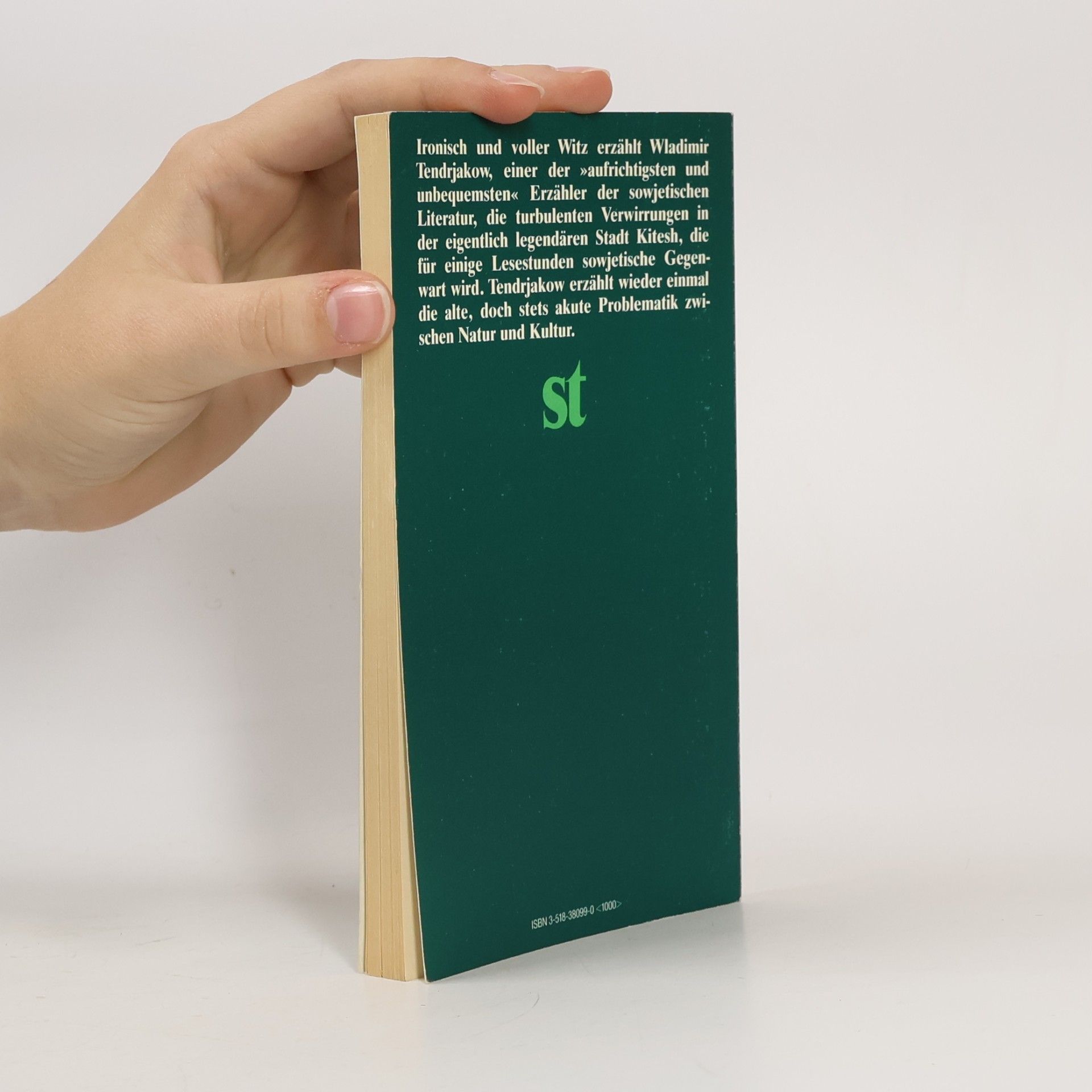 Vladimir Fedorovič Tendrjakov Suhrkamp Taschenbuch - 1599: Die reinen Wasser von Kitesh
