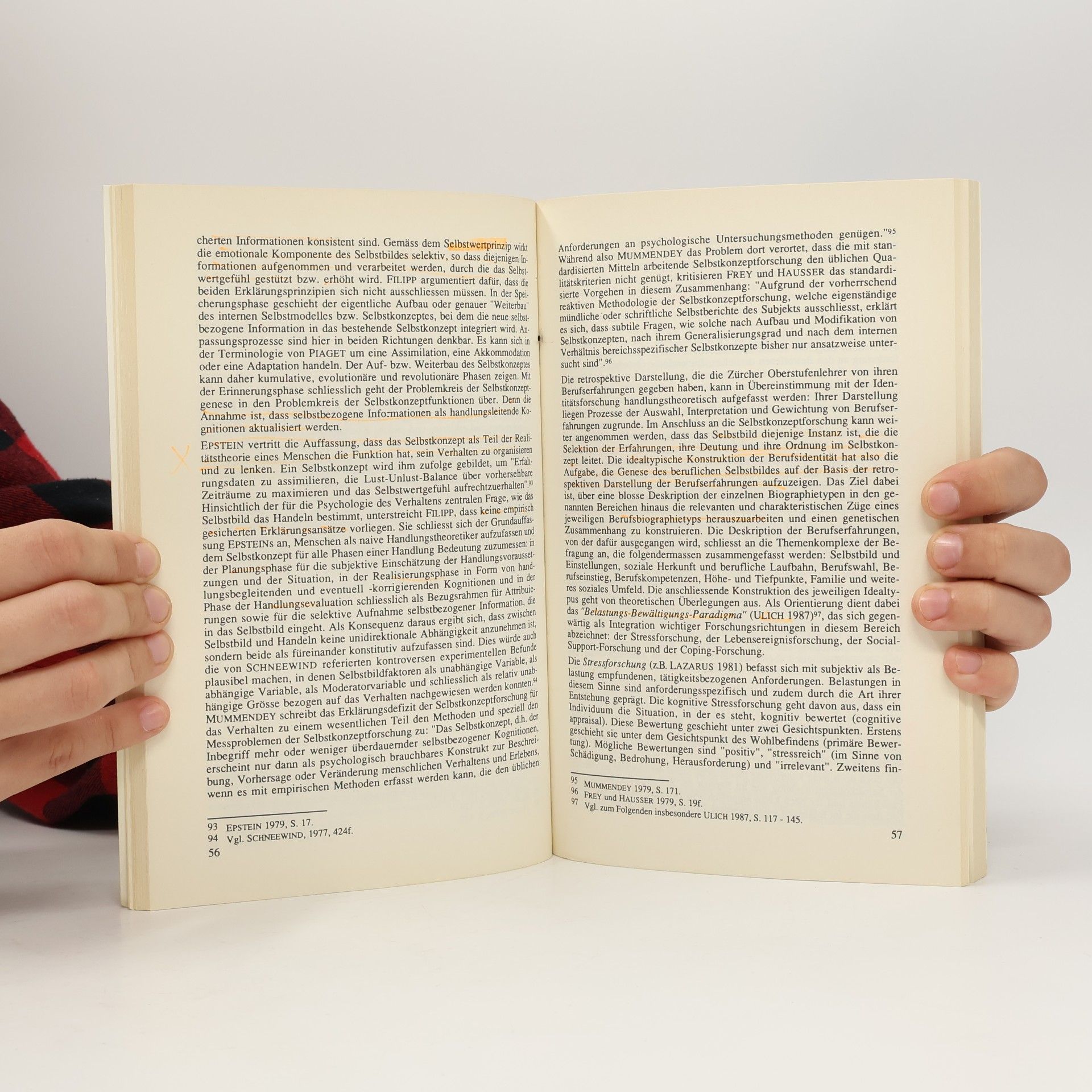 Gertrude Hirsch Biographie und Identität des Lehrers