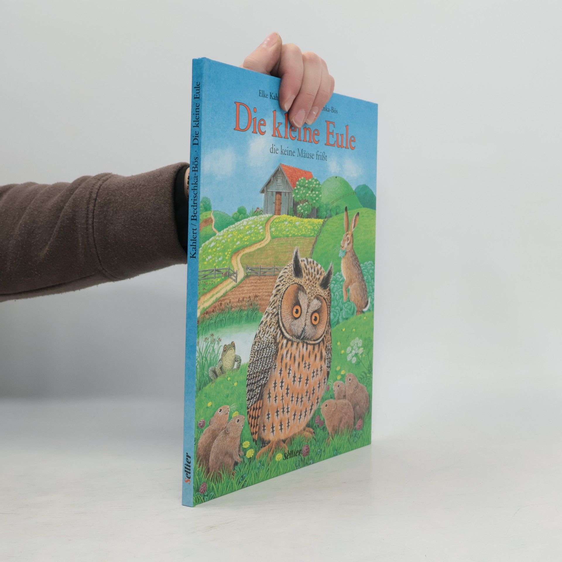 Die kleine Eule, die keine Mäuse frisst