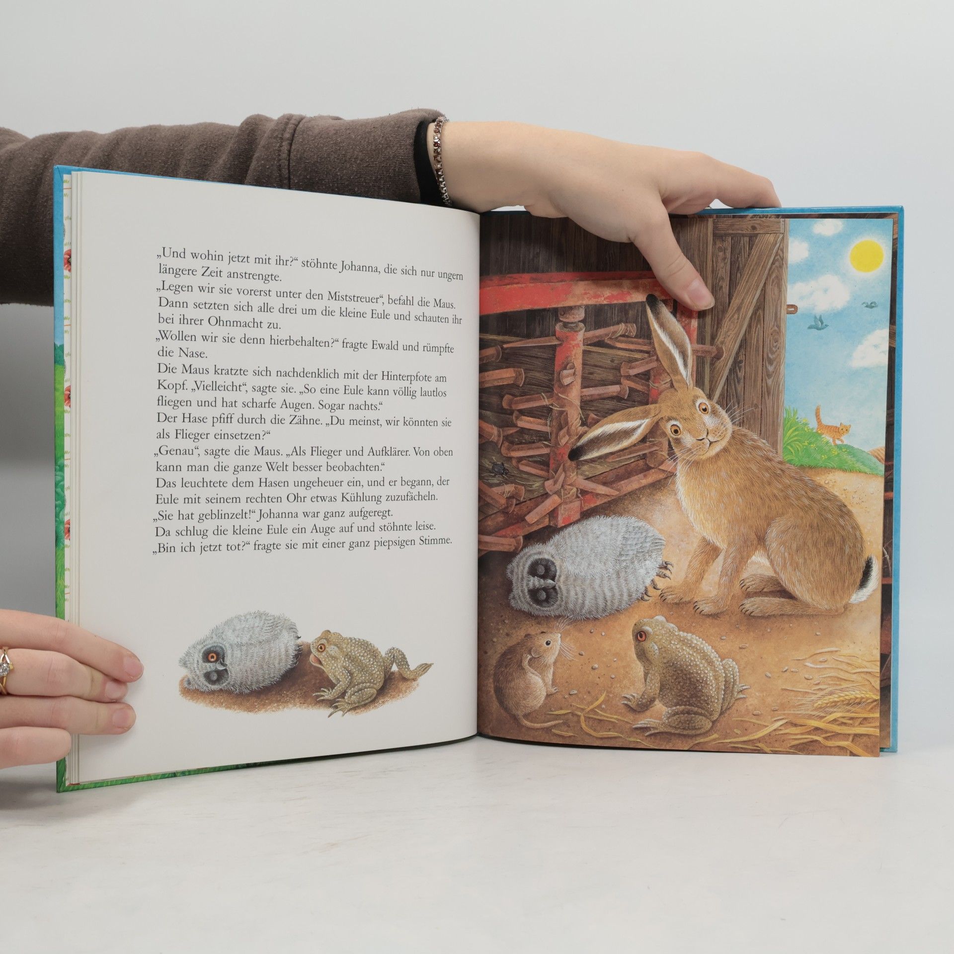 Barbara Bedrischka-Bös Die kleine Eule, die keine Mäuse frisst