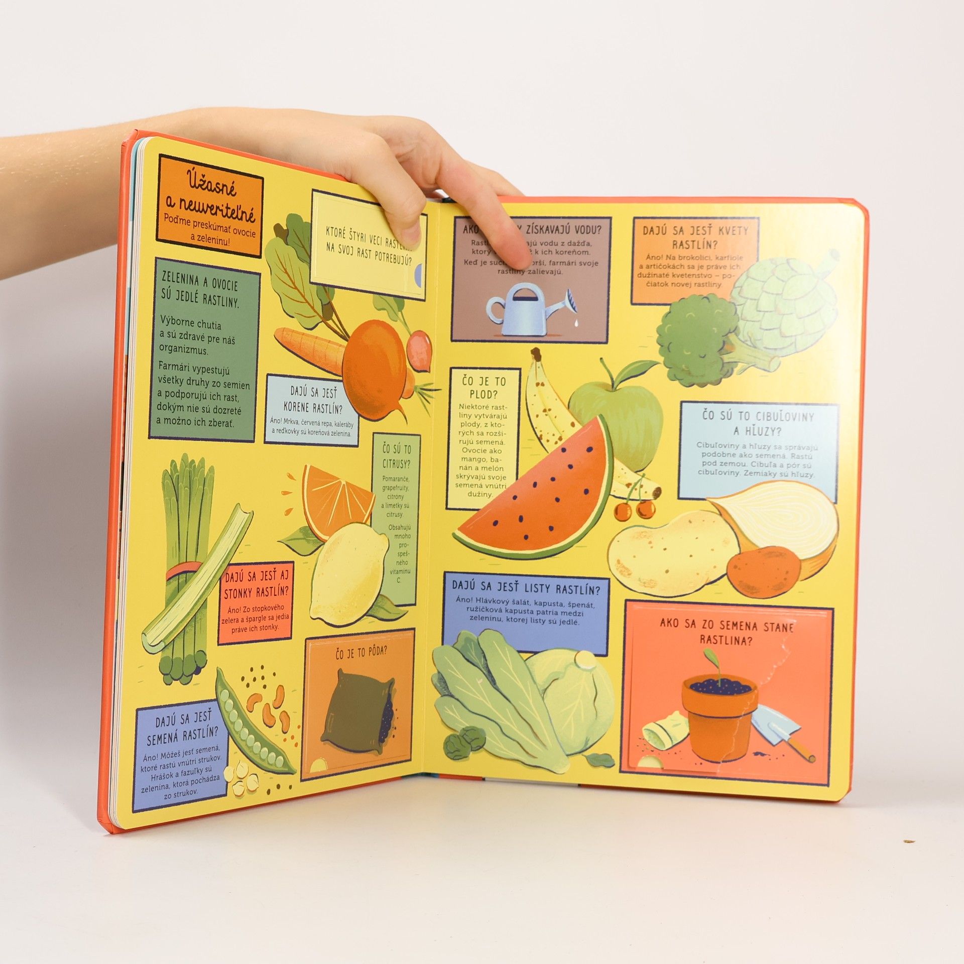 Various authors Farma: 100 otázok a 70 otváracích okénok