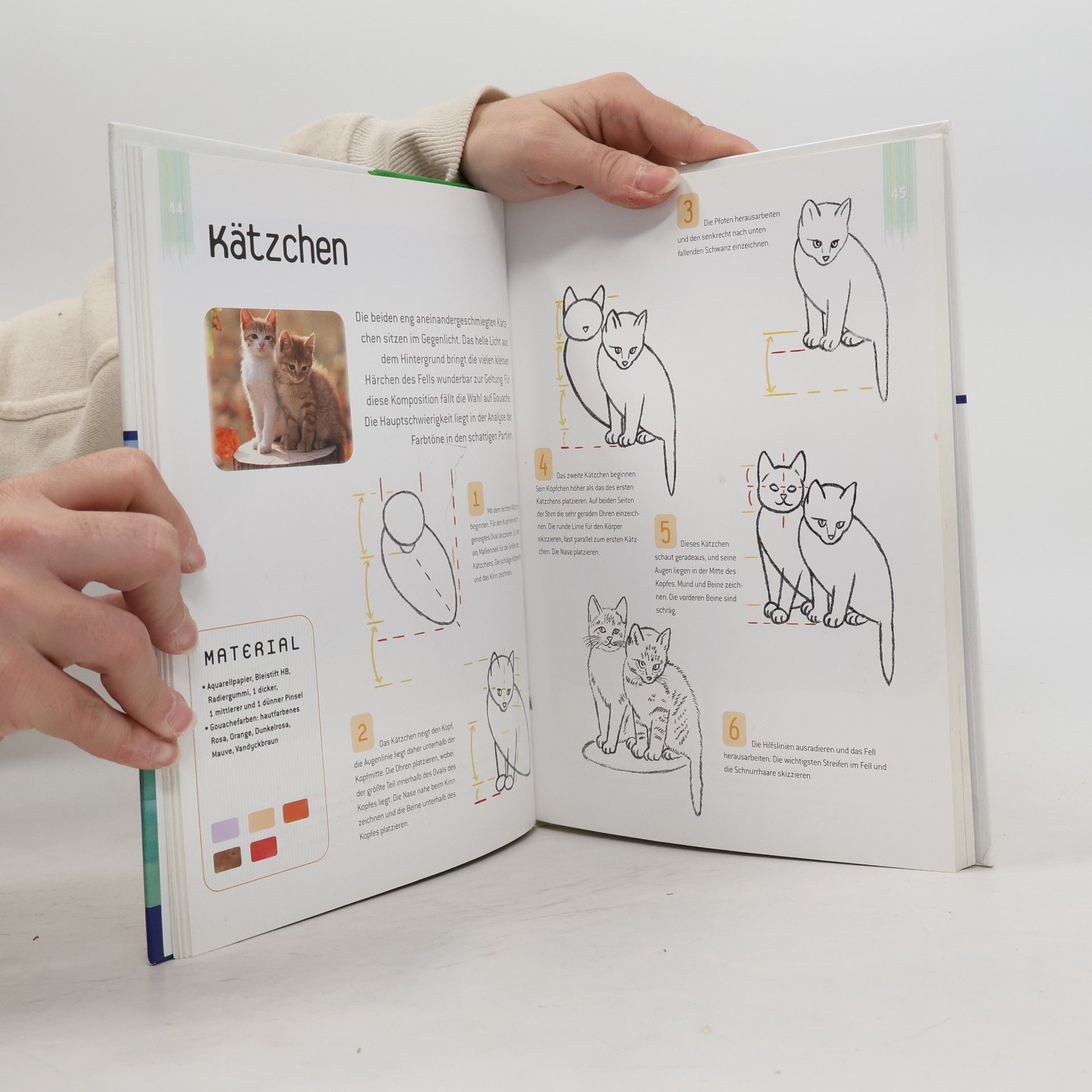 Auteurscollectief Tiere Zeichnen und Malen für Einsteiger