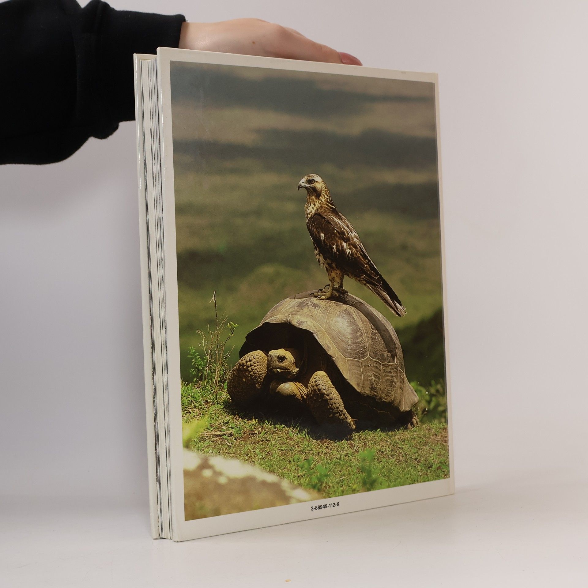 Fritz Pölking Vogelfotografie