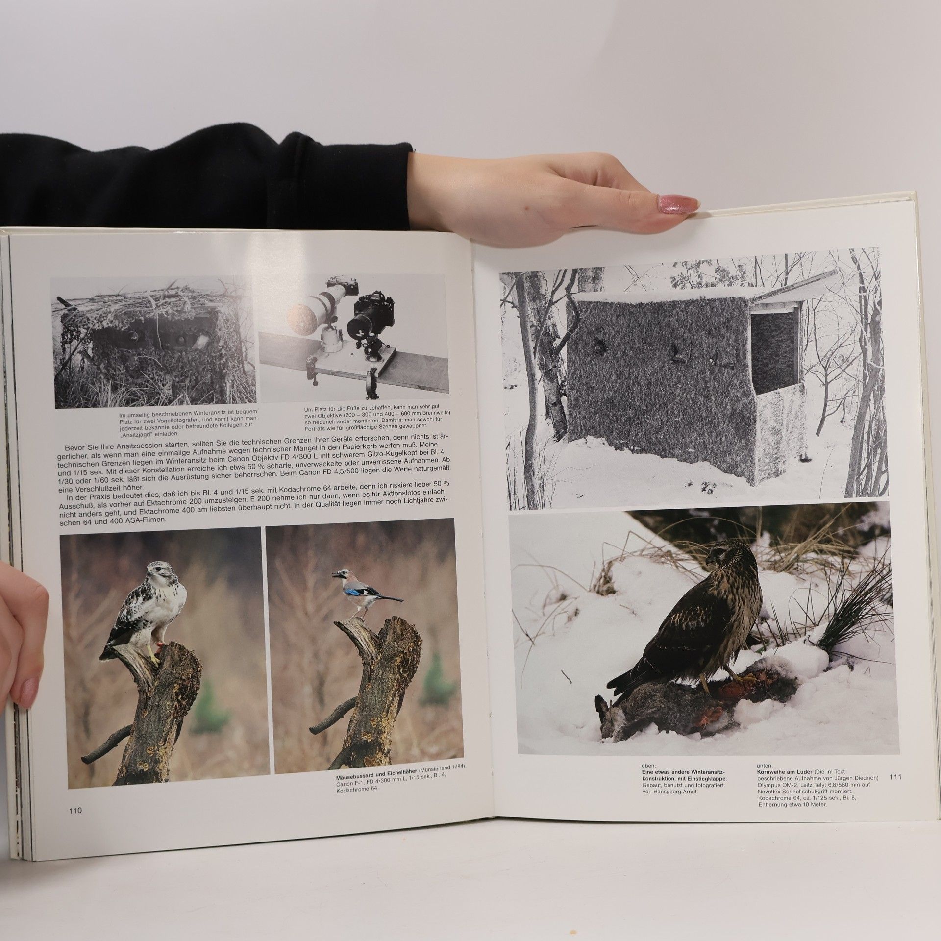 Fritz Pölking Vogelfotografie
