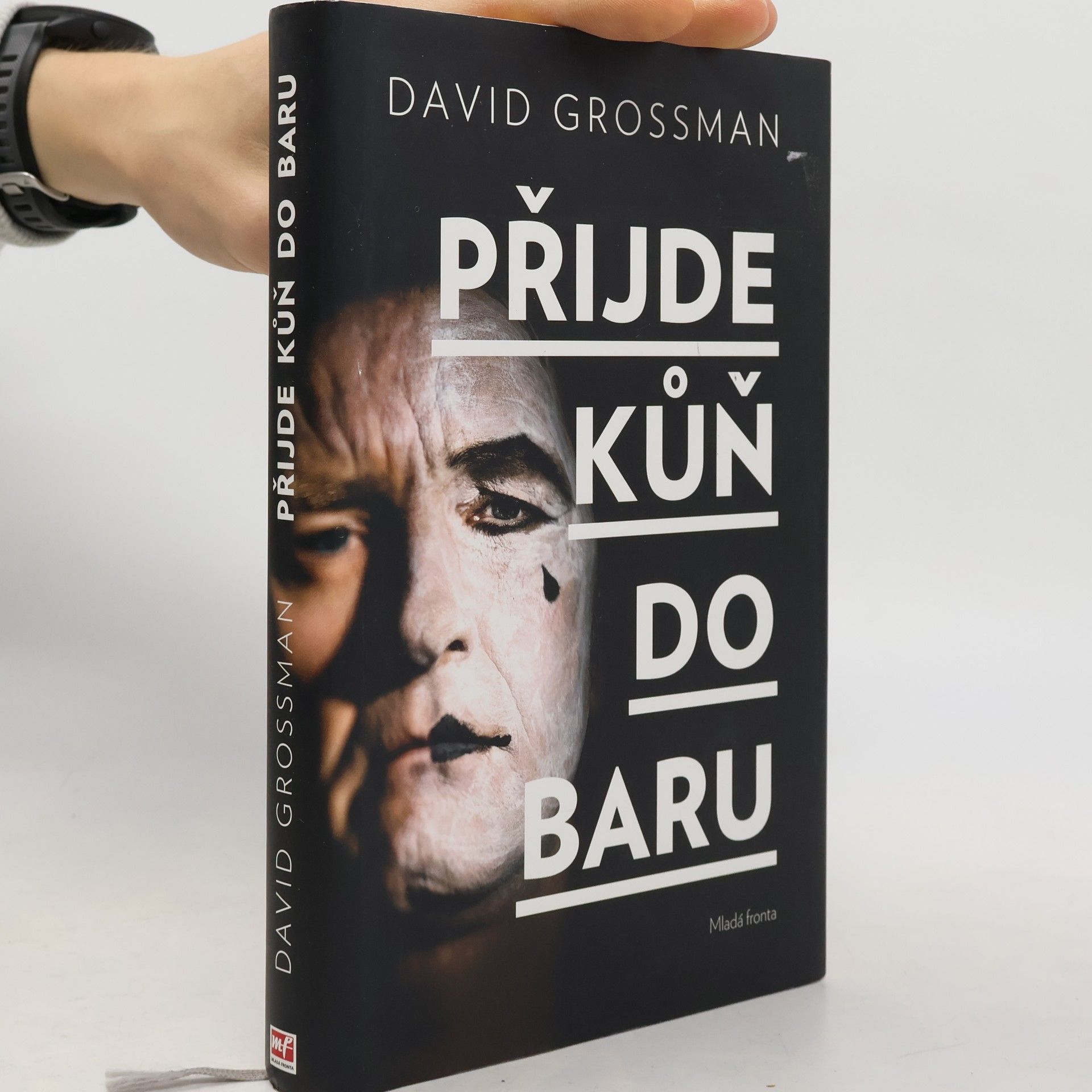 David Grossman Přijde kůň do baru