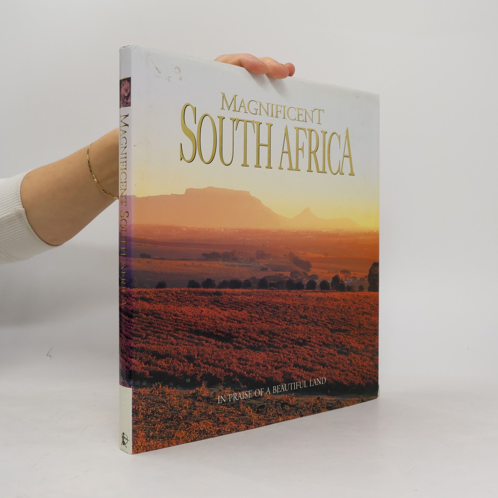 Magnificent South Africa