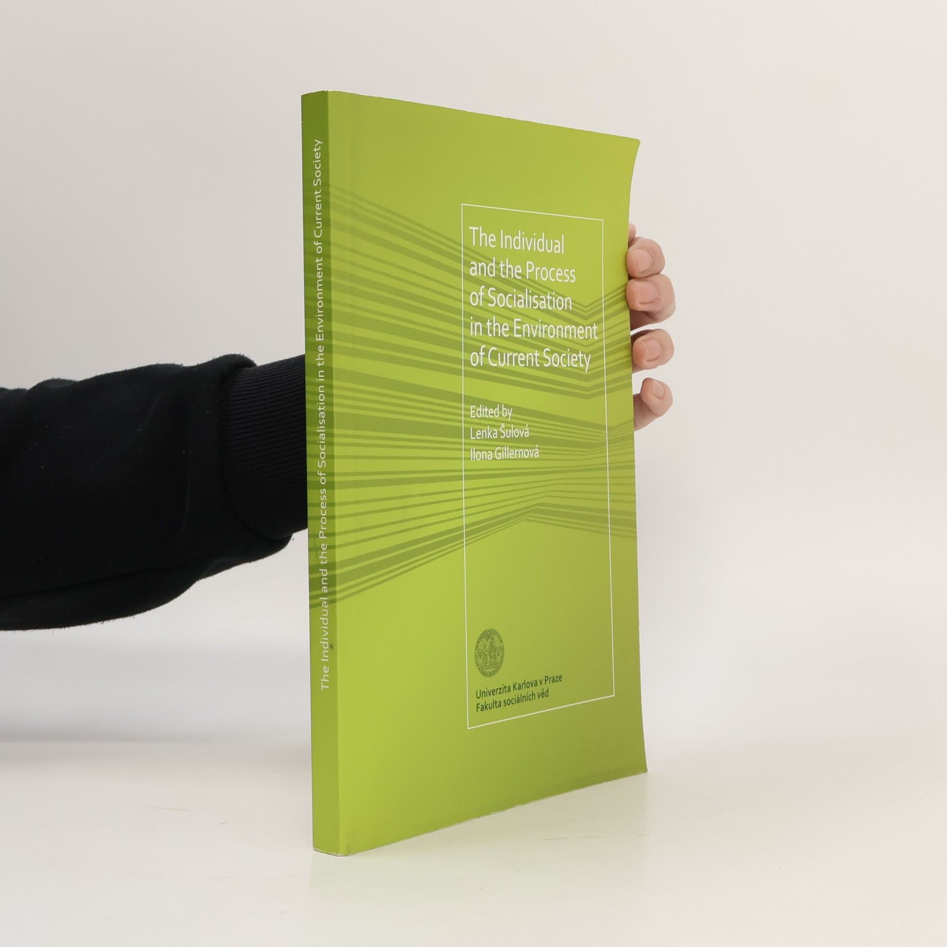 The individual and the process of socialisation in the environment of current society