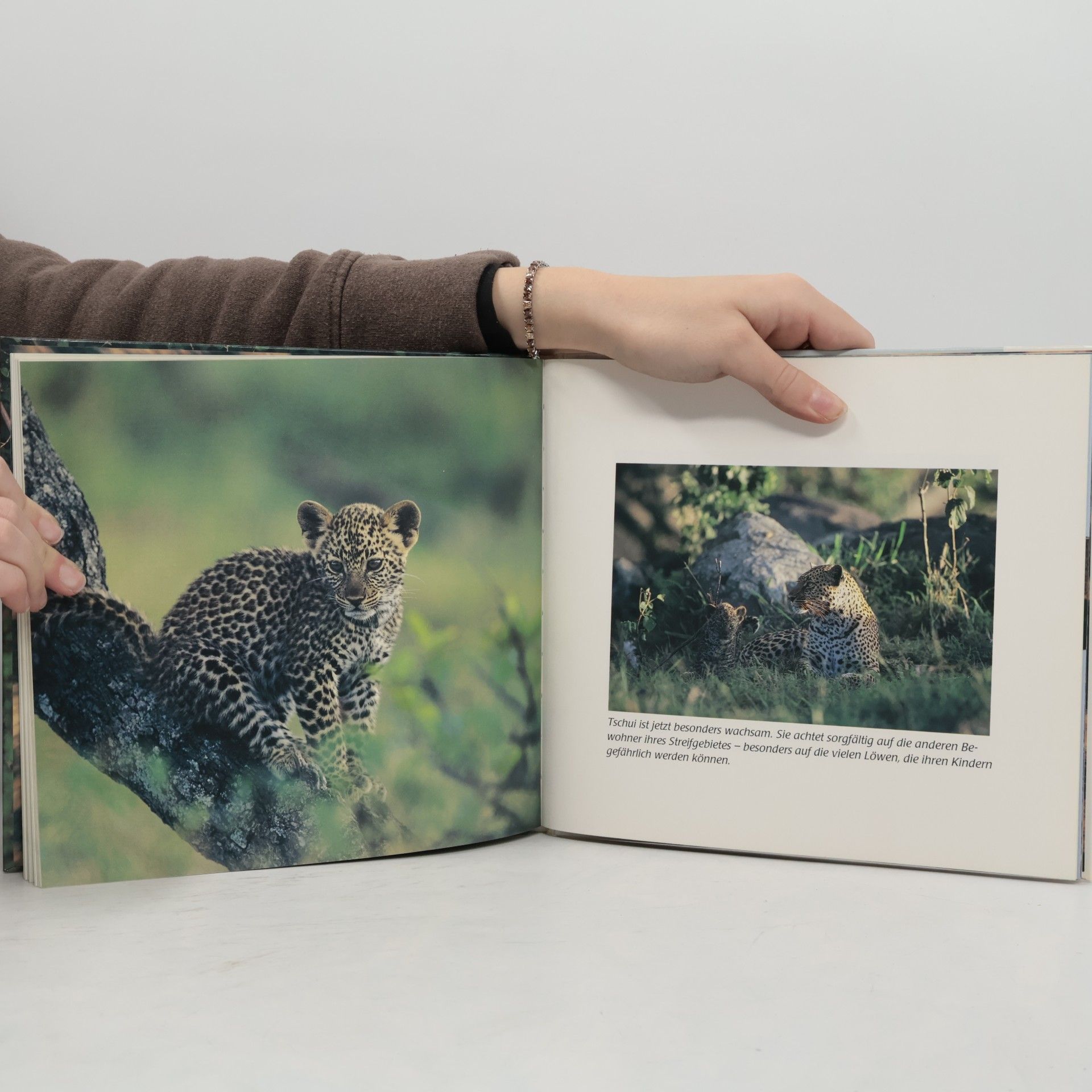 Jonathan Scott Das Leoparden-Kinder-Buch