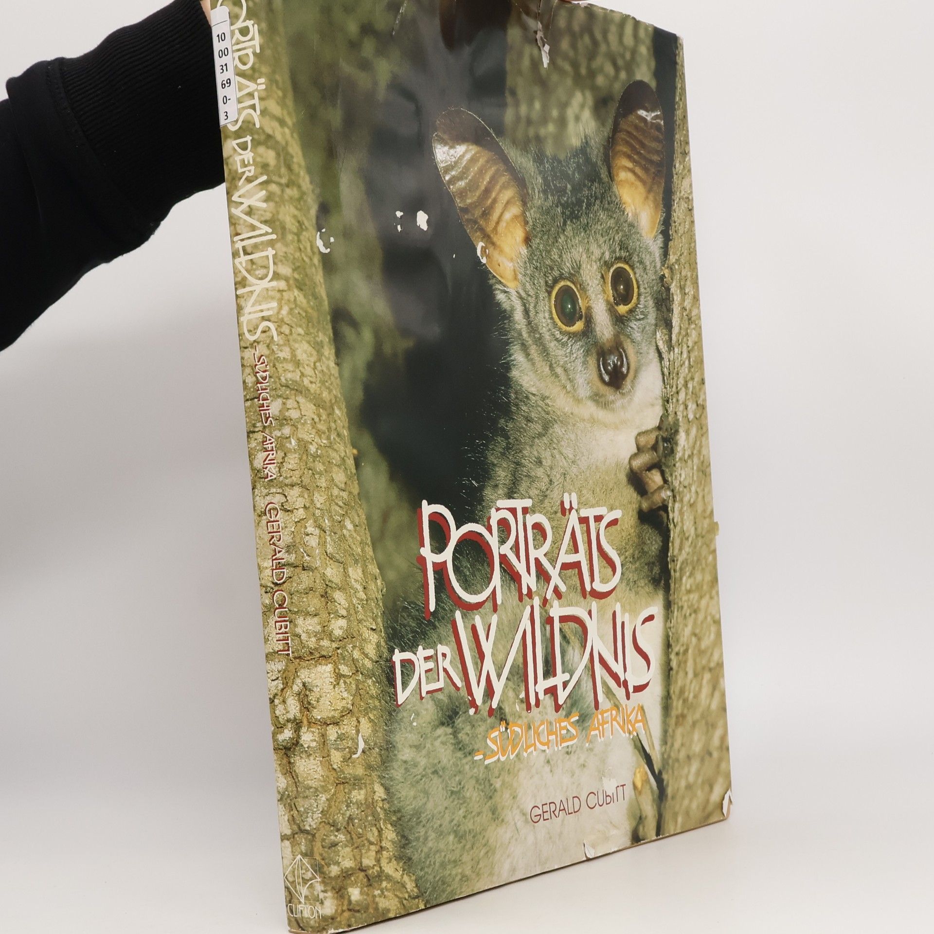 Portraits of the Wild