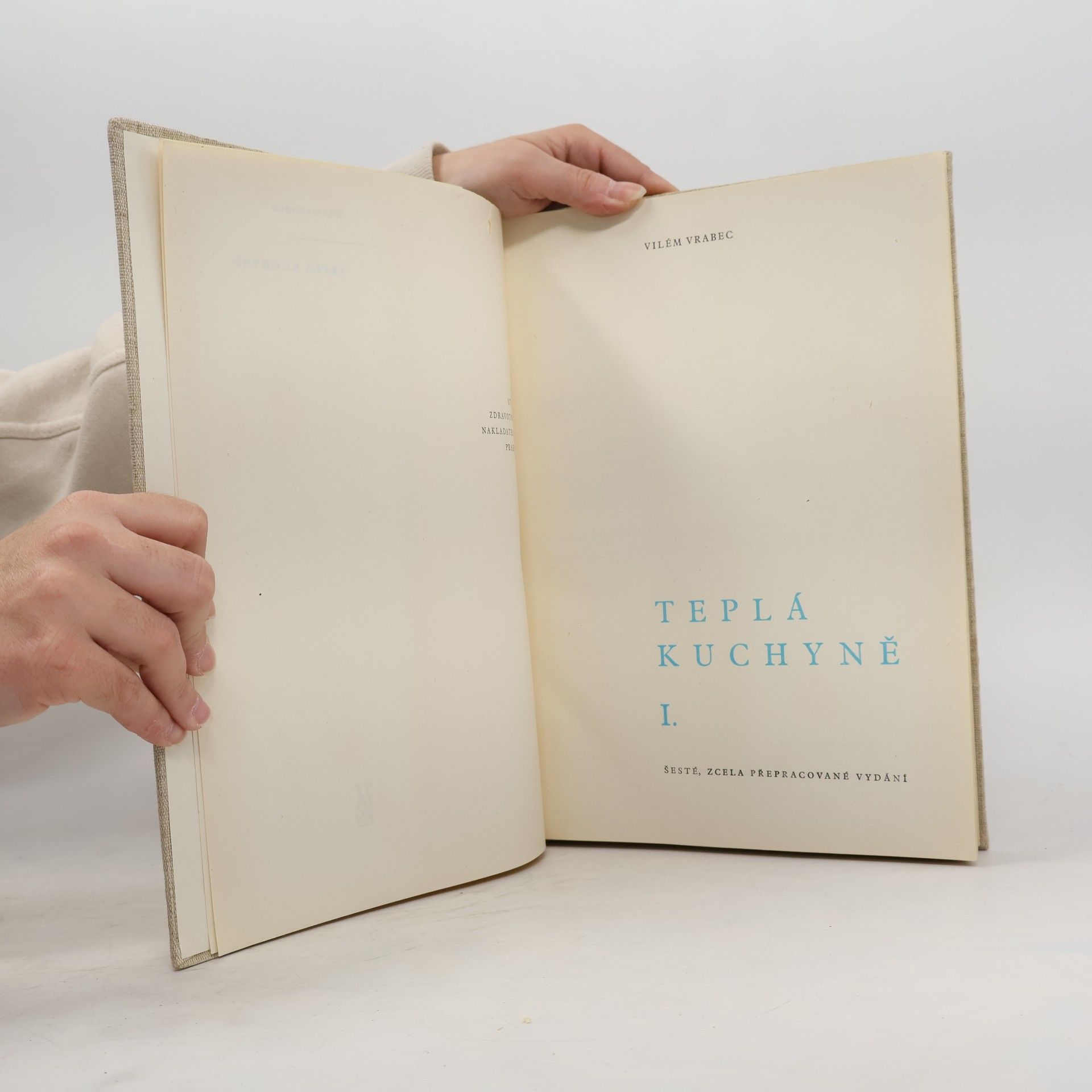 Vilém Vrabec Teplá kuchyně 1.