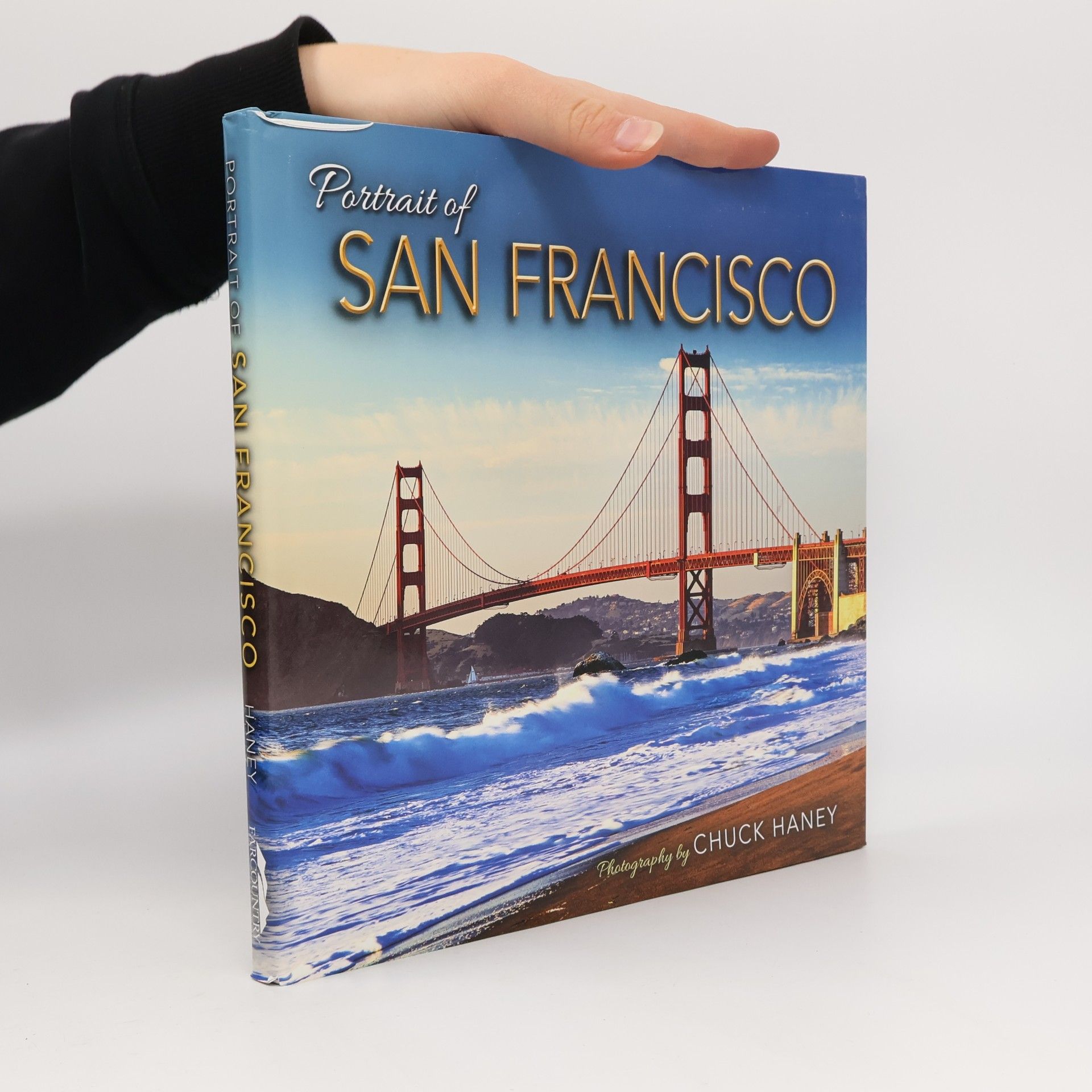 Portrait of San Francisco