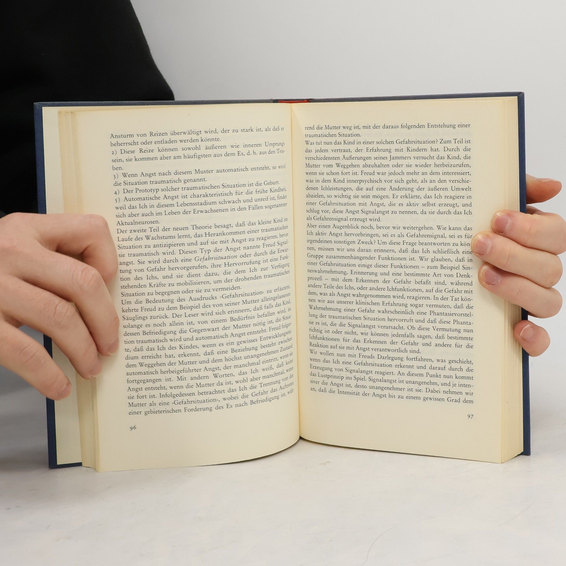 Jean Laplanche Das Vokabular der Psychoanalyse