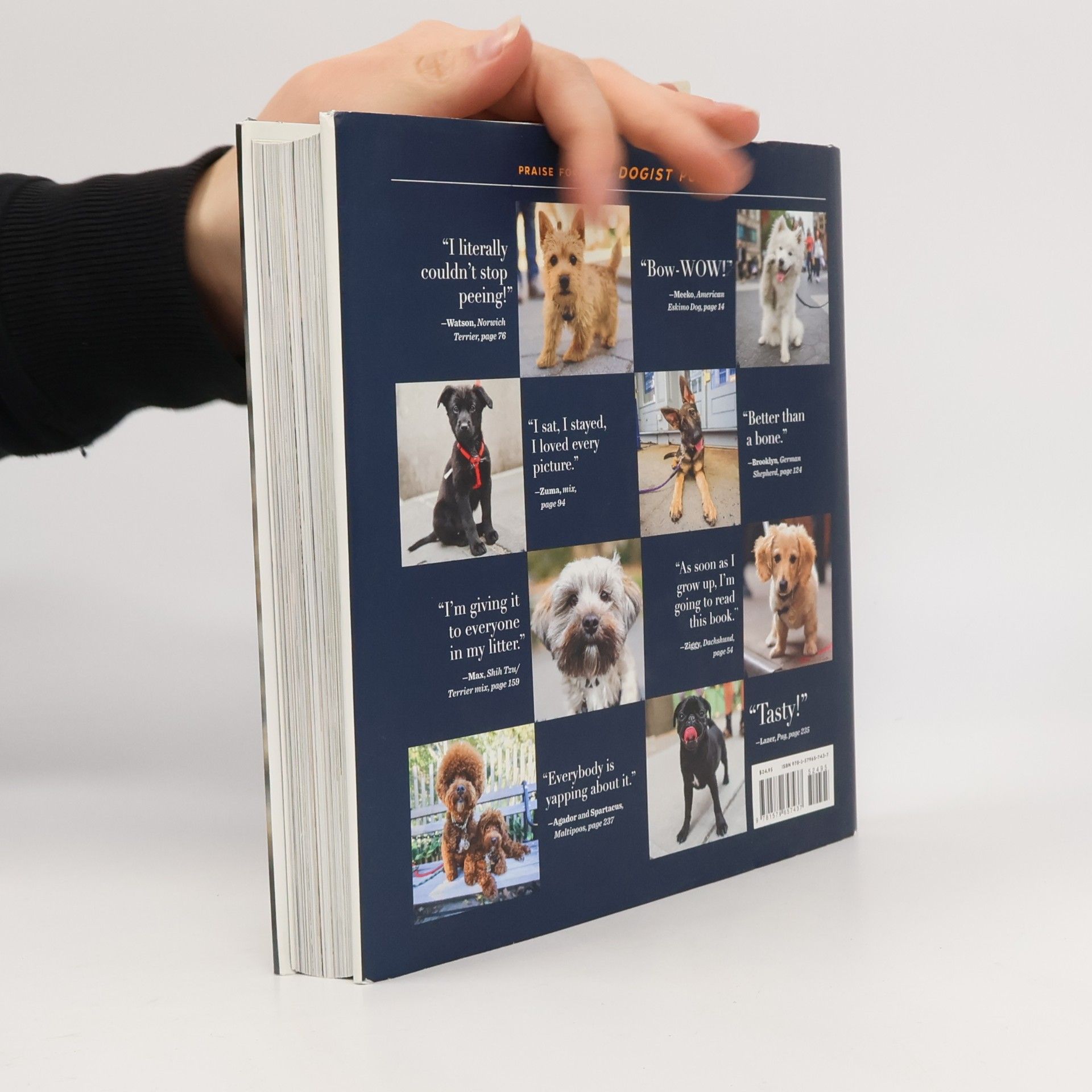 Elias Weiss Friedman The Dogist Puppies