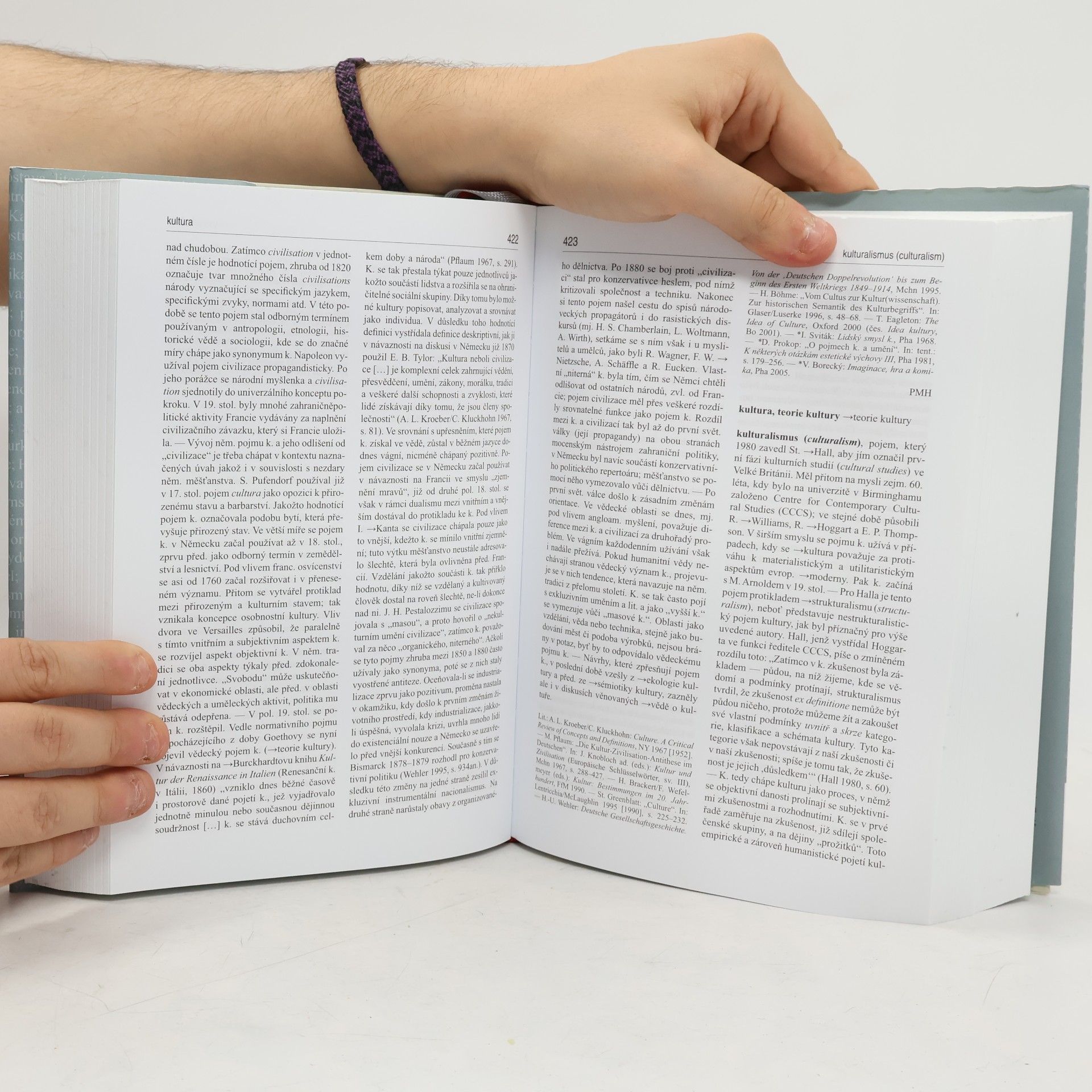 Jiří Holý Lexikon teorie literatury a kultury: koncepce - osobnosti - základní pojmy