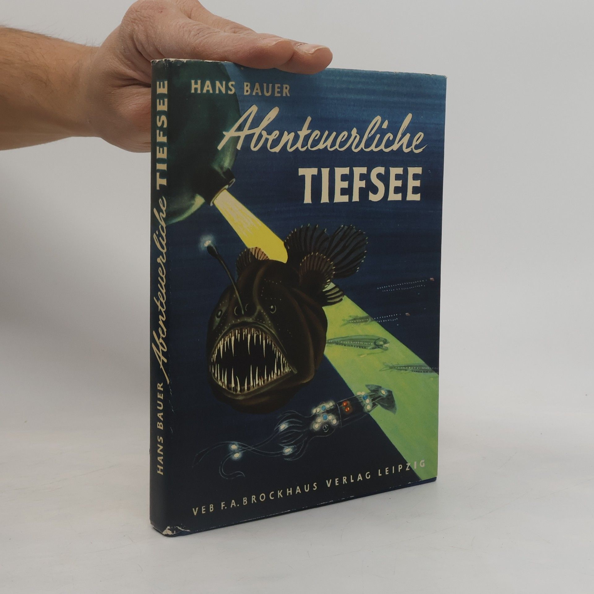 Abenteuerliche Tiefsee