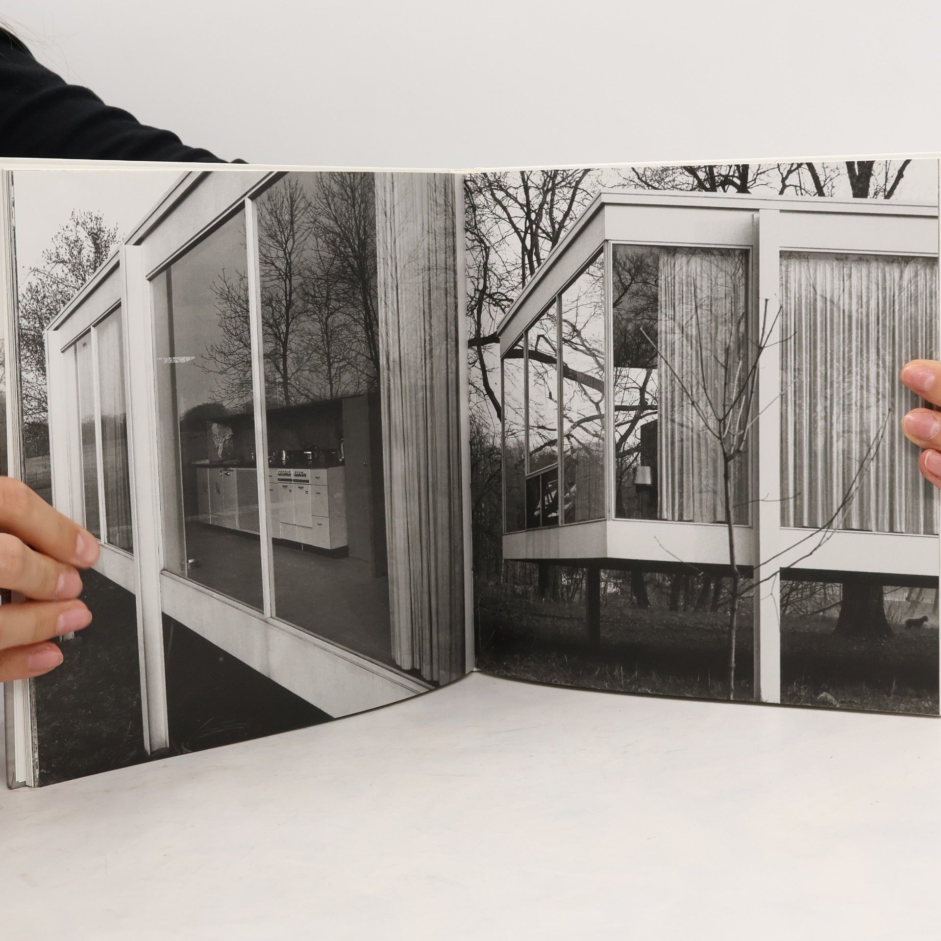 Werner Blaser Mies Van Der Rohe Farnsworth House