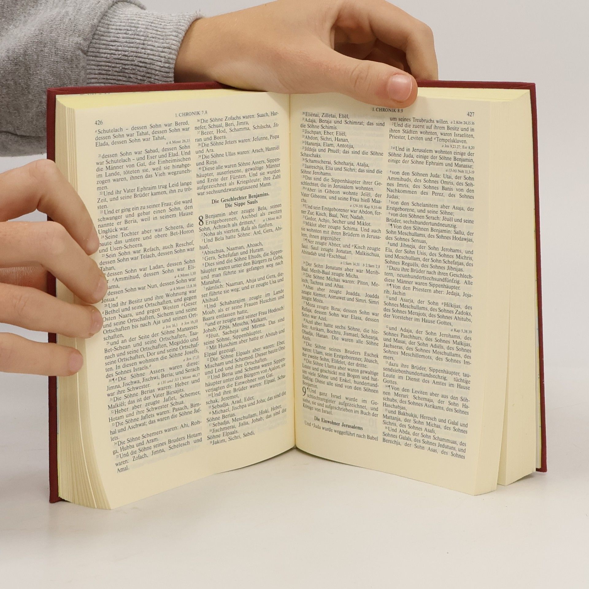 Martin Luther Die Bibel, nach der Übersetzung Martin Luthers