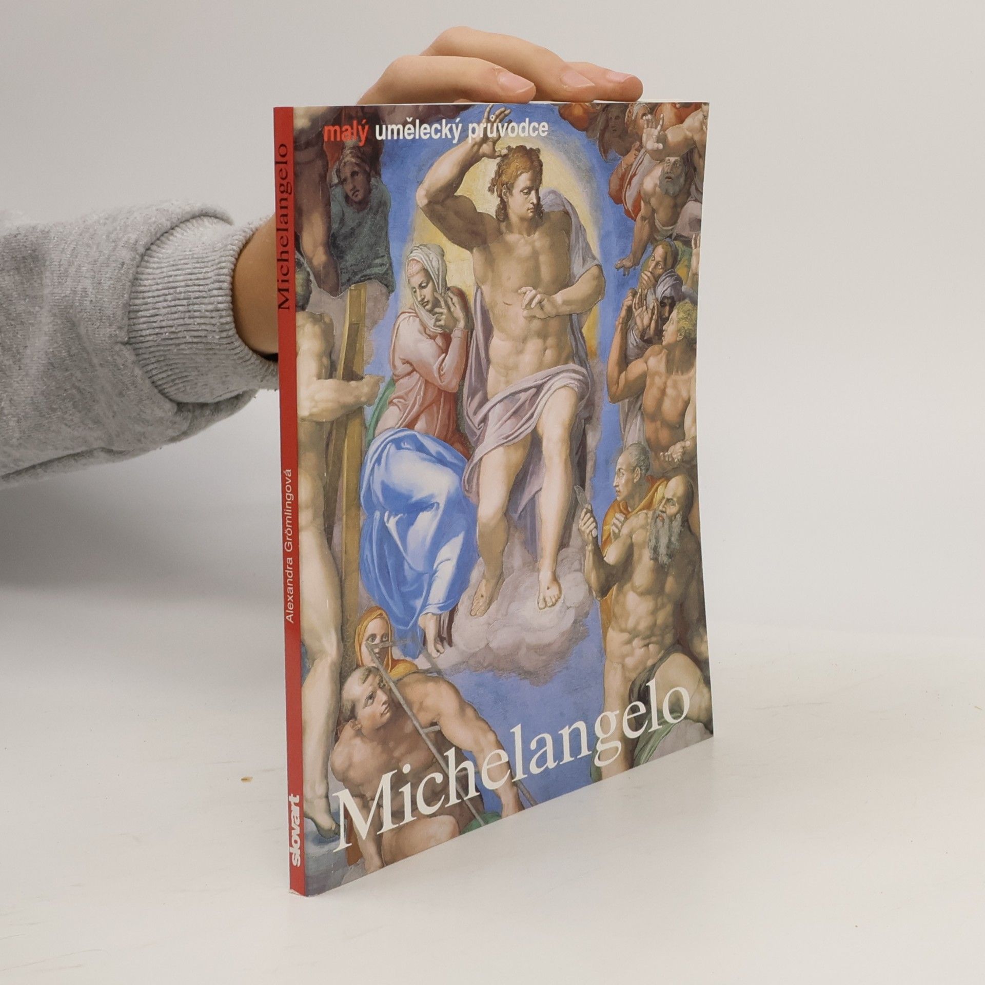 Michelangelo Buonarroti : život a dílo