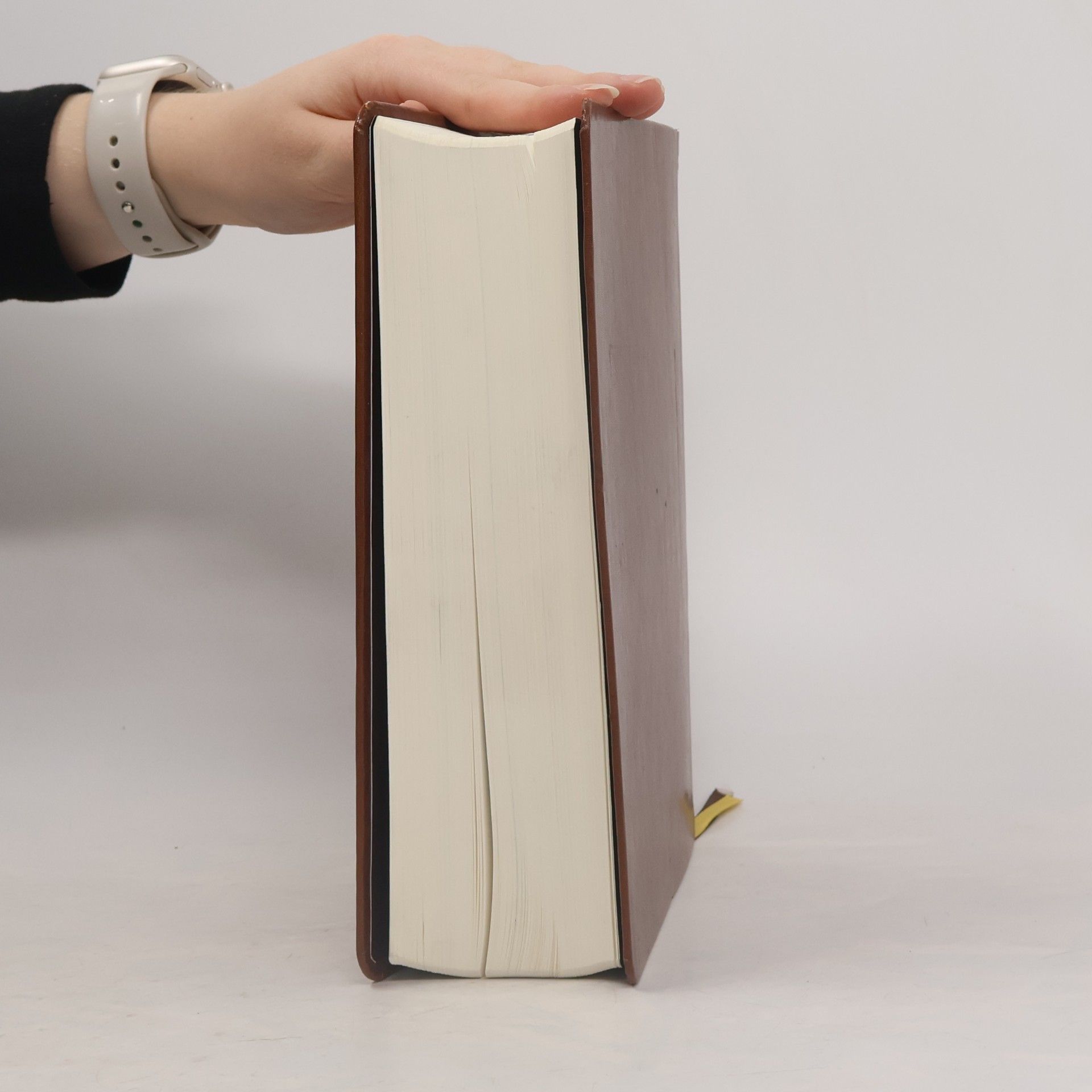 Jiří Brodský Kralická Bible : český ekumenický překlad - Bible kralická