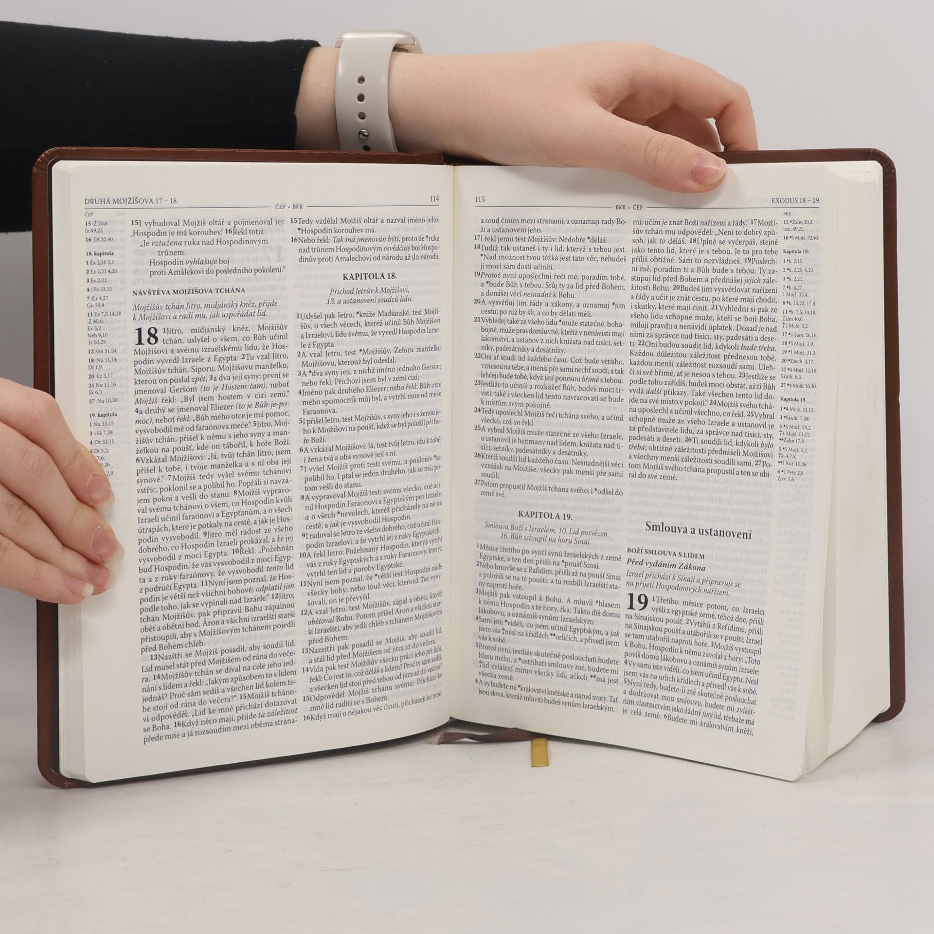 Jiří Brodský Kralická Bible : český ekumenický překlad - Bible kralická