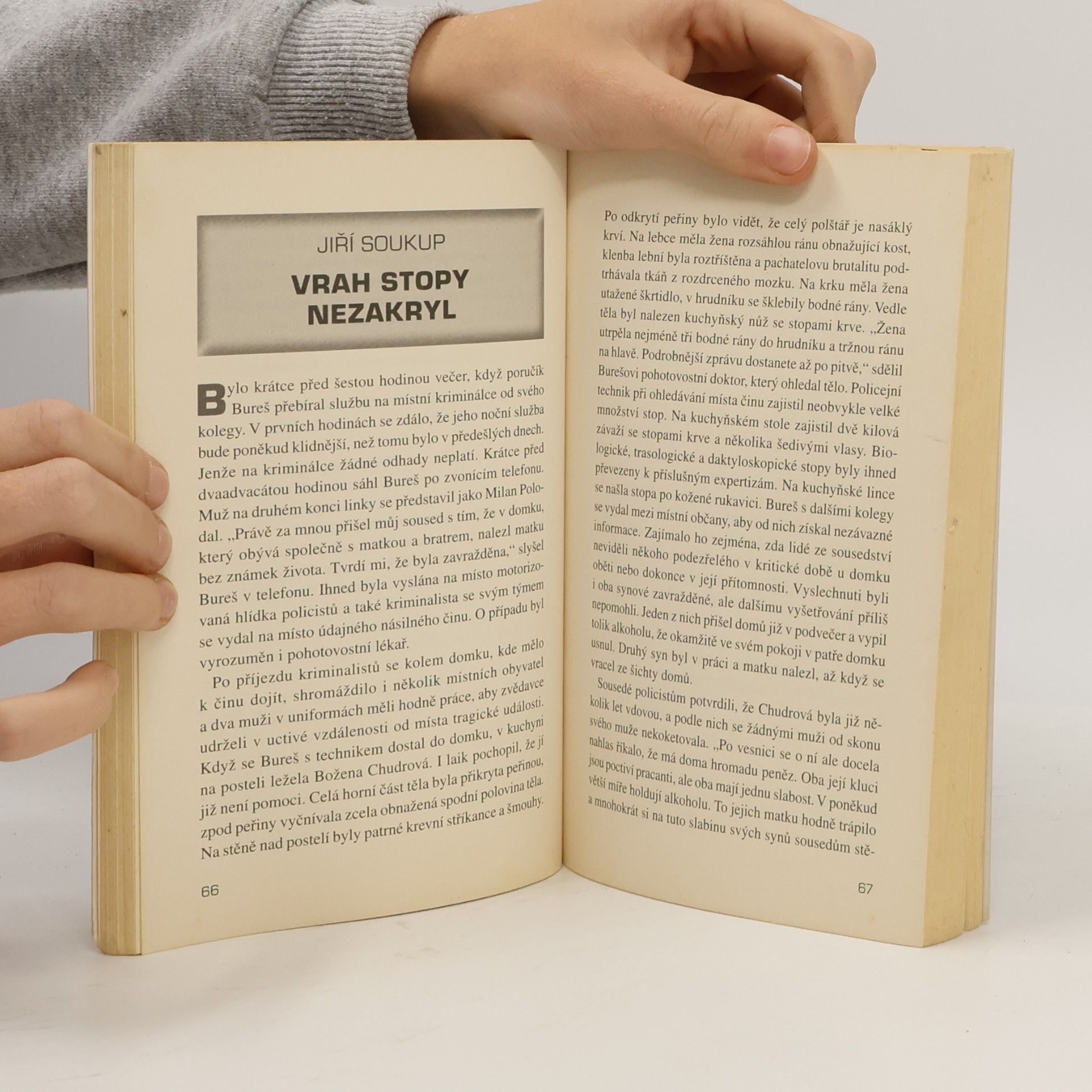 Autorenkollektiv Nenasytná milenka