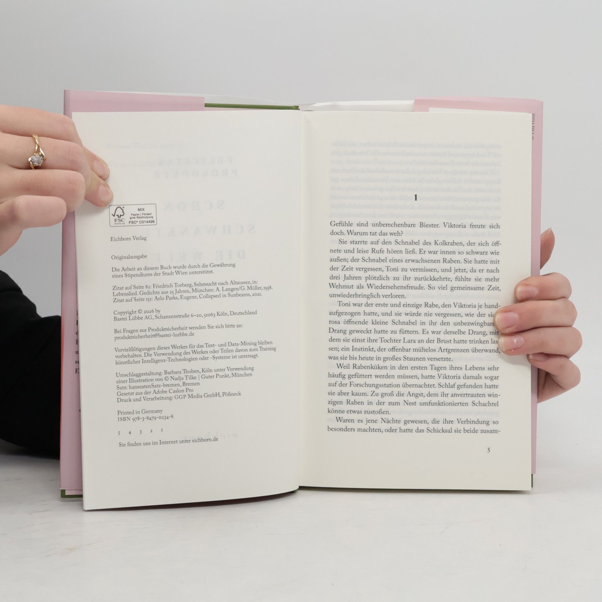 Felicitas Prokopetz Schon schwankte die Welt