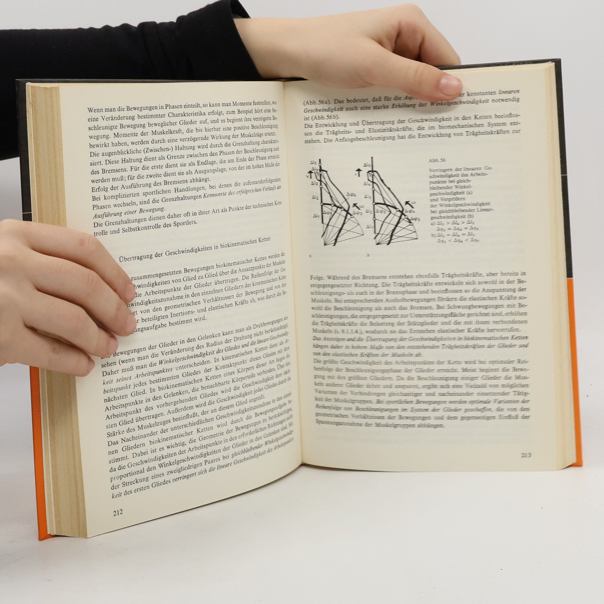 Dmitrij Dmitrievič Donskoj Trainerbibliothek - 16: Grundlagen der Biomechanik