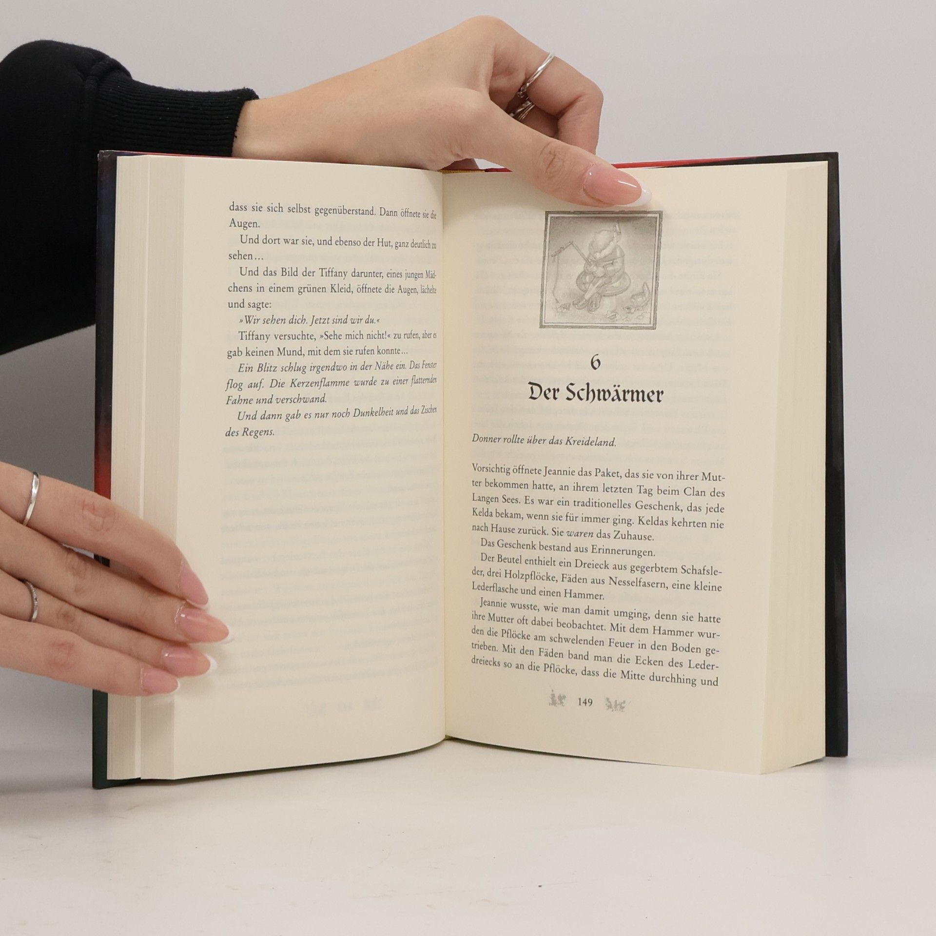 Terry Pratchett Ein Hut voller Sterne