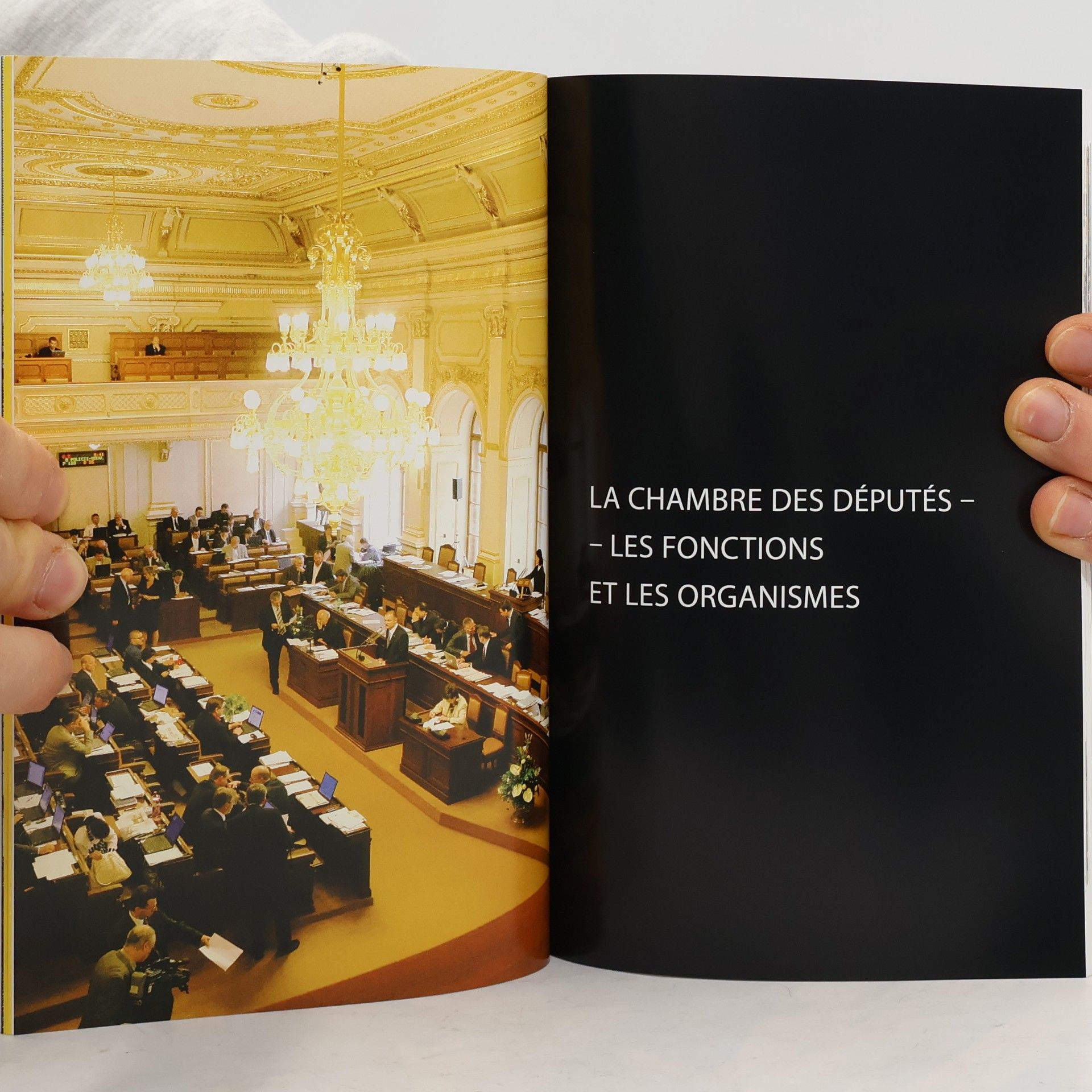 Petr Valenta Chambre des Députés du Parlement de la République tchèque